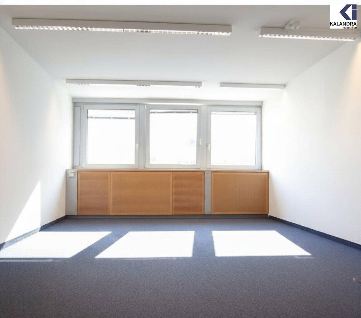 Helles Büro mit blauem Teppichboden und breiten Fenstern, die viel Tageslicht hereinlassen und eine angenehme Atmosphäre schaffen.