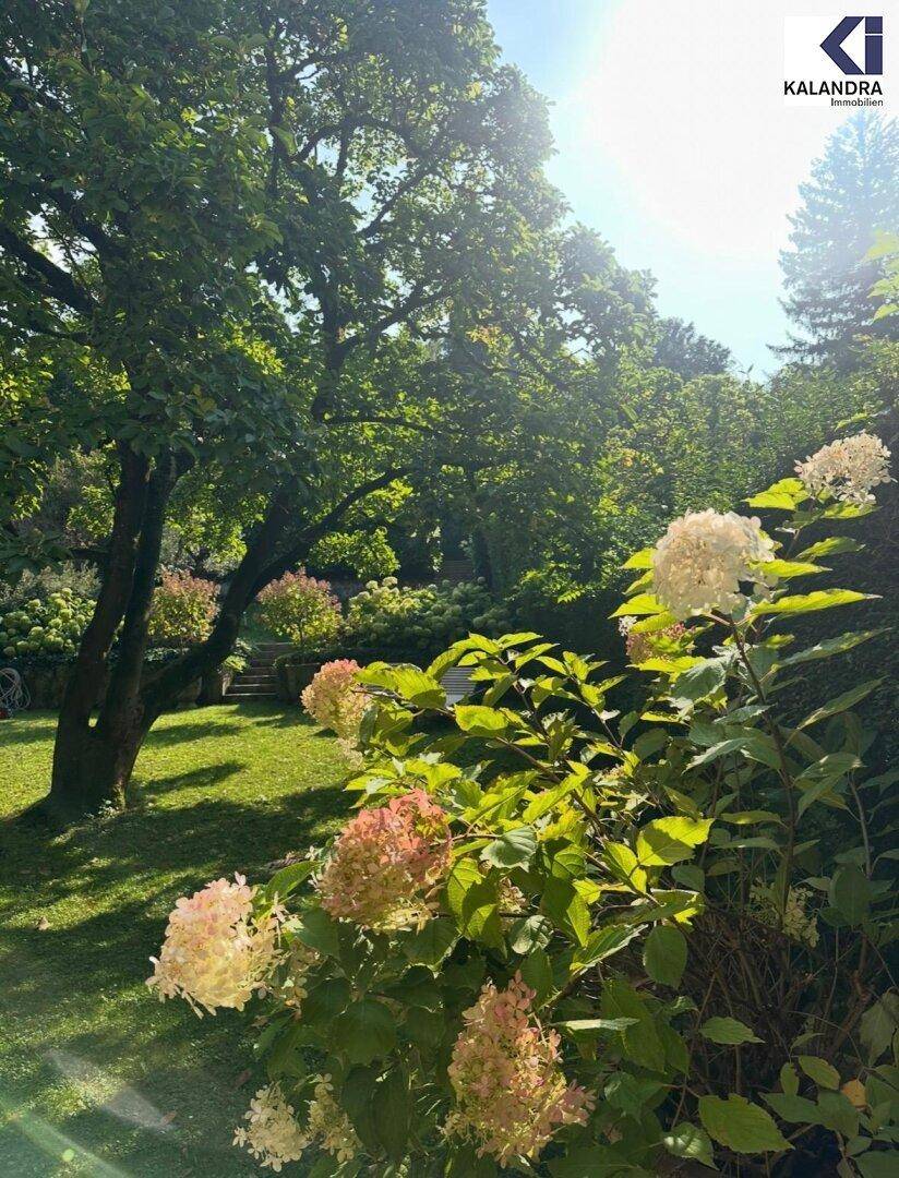 Üppiger Garten mit blühenden Hortensien und altem Baumbestand unter strahlendem Himmel.