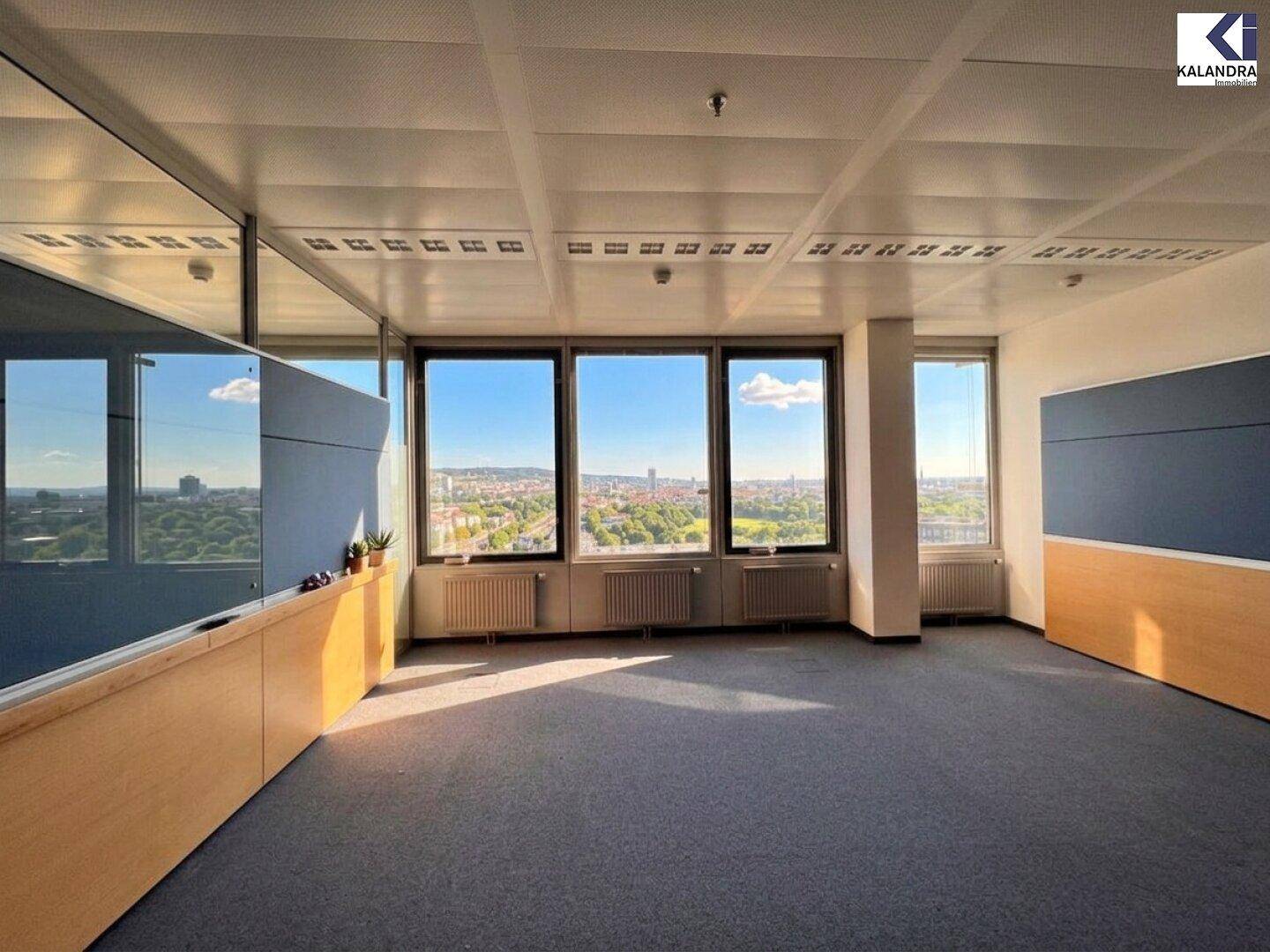 Leeres Büro mit Teppichboden und großen Fenstern, die einen weiten Stadtblick bieten, ergänzt durch eingebaute Schränke.