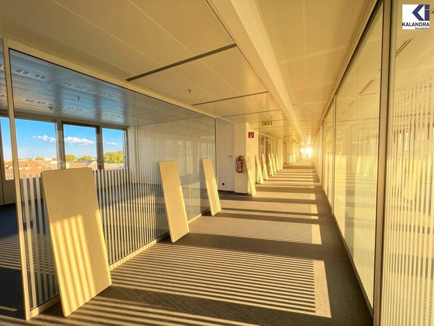 Heller Bürogang mit Glaswänden und Teppichboden, durchflutet von natürlichem Sonnenlicht, das am Ende des Ganges einfällt.