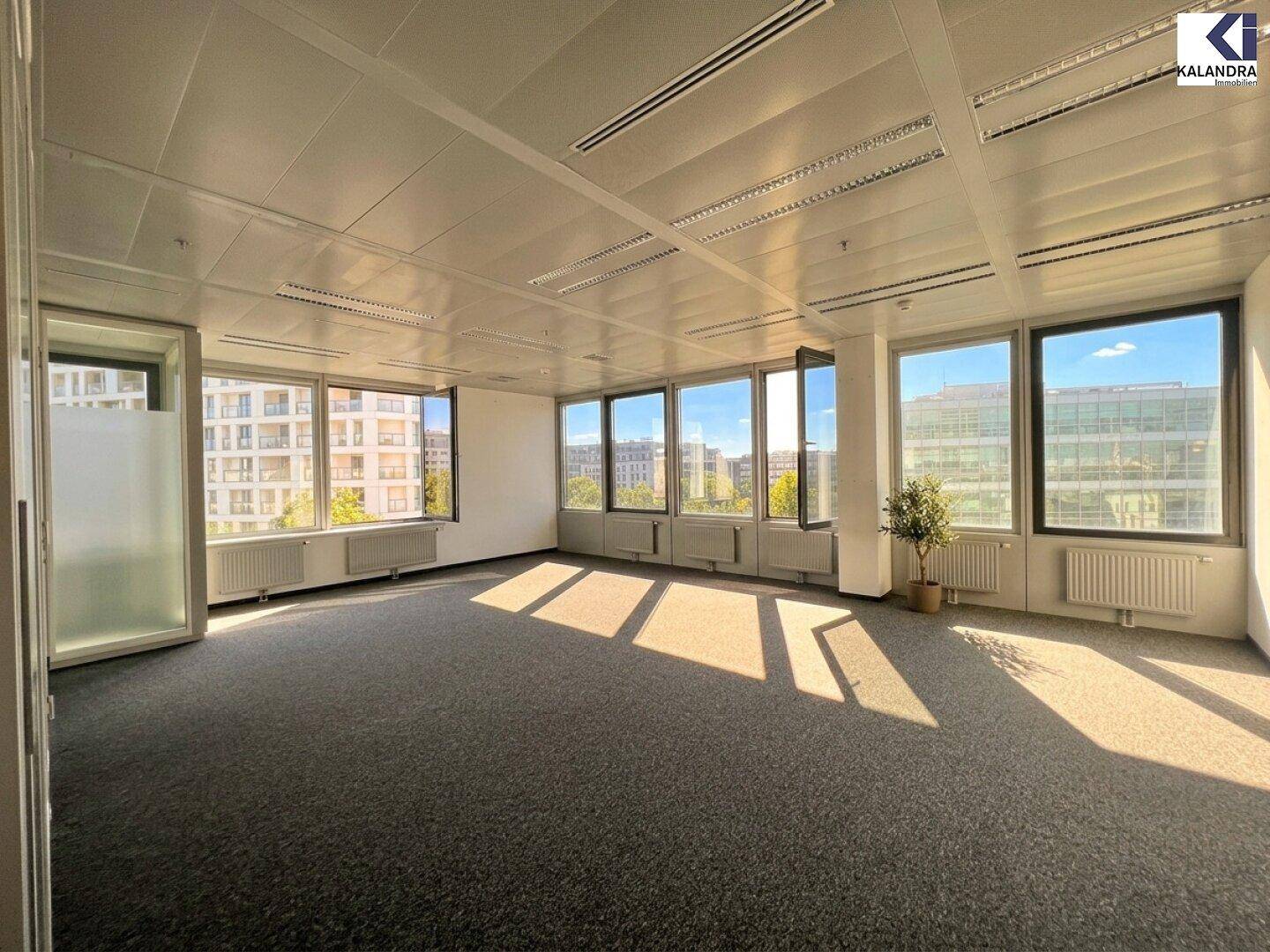 Geräumiges Büro mit Teppichboden, großen Fenstern und viel Tageslicht, bietet eine angenehme Arbeitsatmosphäre.