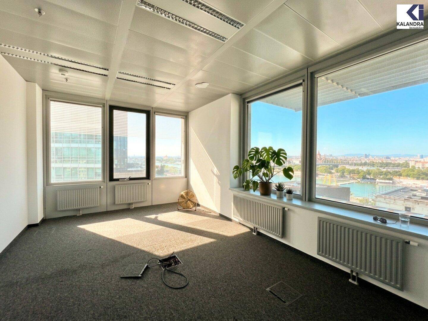 Büro mit Teppichboden und Pflanzen am Fenster, bietet eine angenehme Arbeitsumgebung mit Stadtblick.