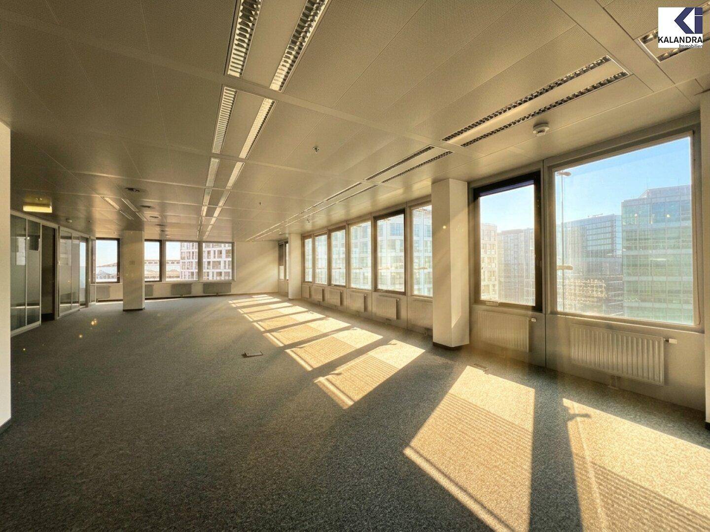 Großes Büro mit Teppichboden und einer langen Fensterfront, die viel Sonnenlicht hereinlässt und eine weite Aussicht bietet.