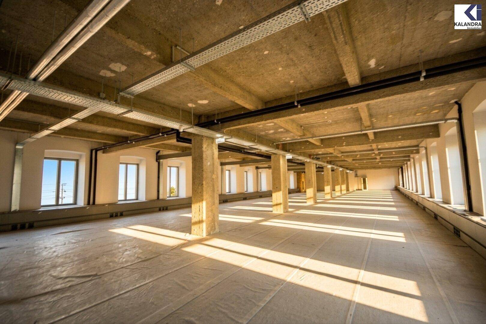 Weitläufiger, offener Bürobereich mit Betonstützen und Decken, durchflutet von Sonnenlicht.