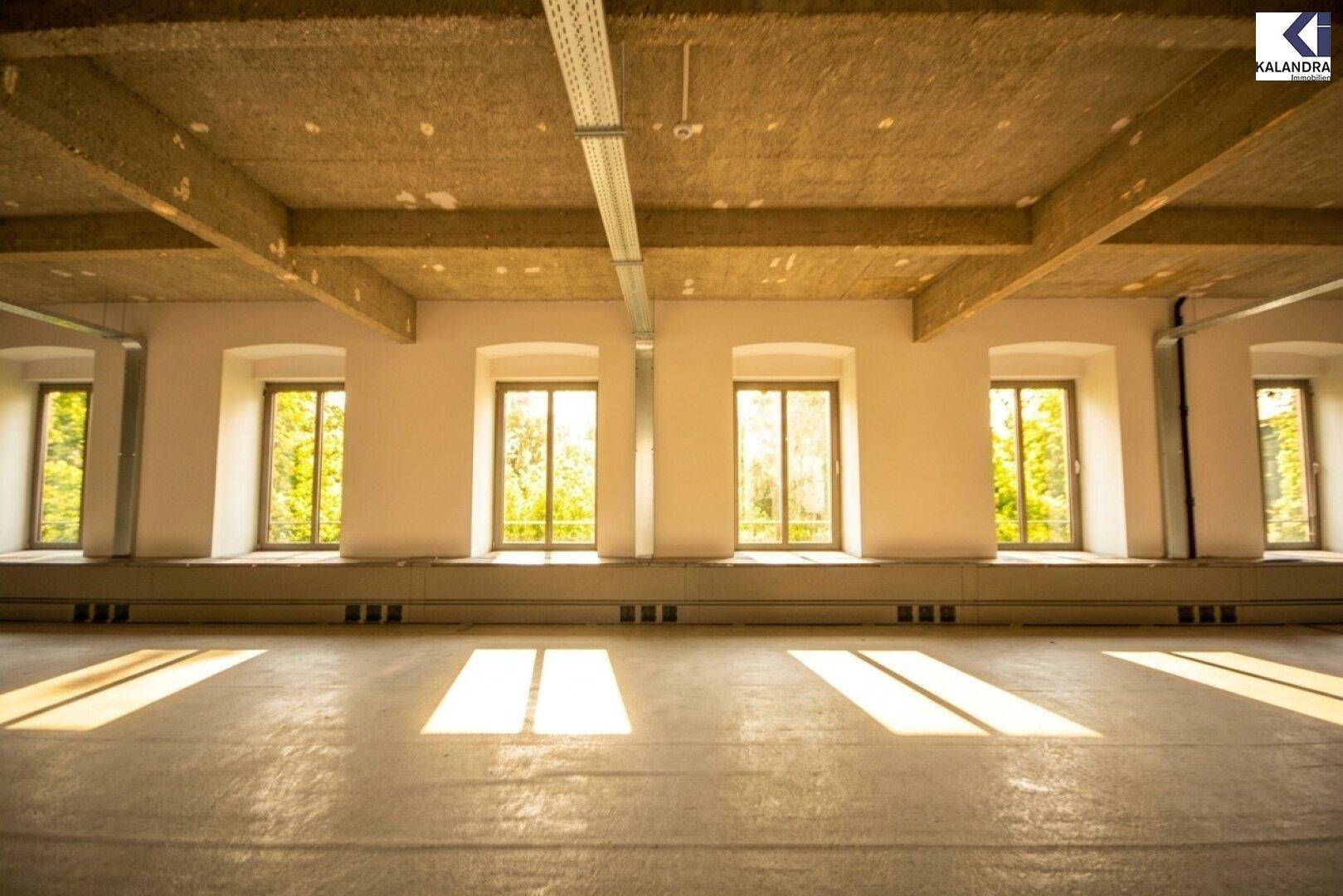 Helle Fensterfront in einem Büroraum mit Blick ins Grüne, die eine angenehme Arbeitsatmosphäre schafft.