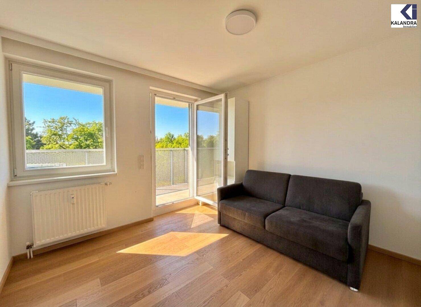 Helles Zimmer mit Holzboden, Schlafsofa und Zugang zum Balkon.