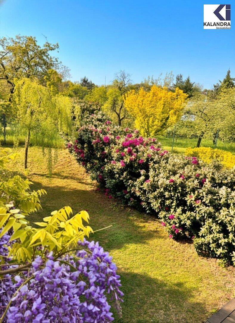 Farbenfroher Garten mit blühenden Sträuchern und Bäumen unter blauem Himmel.