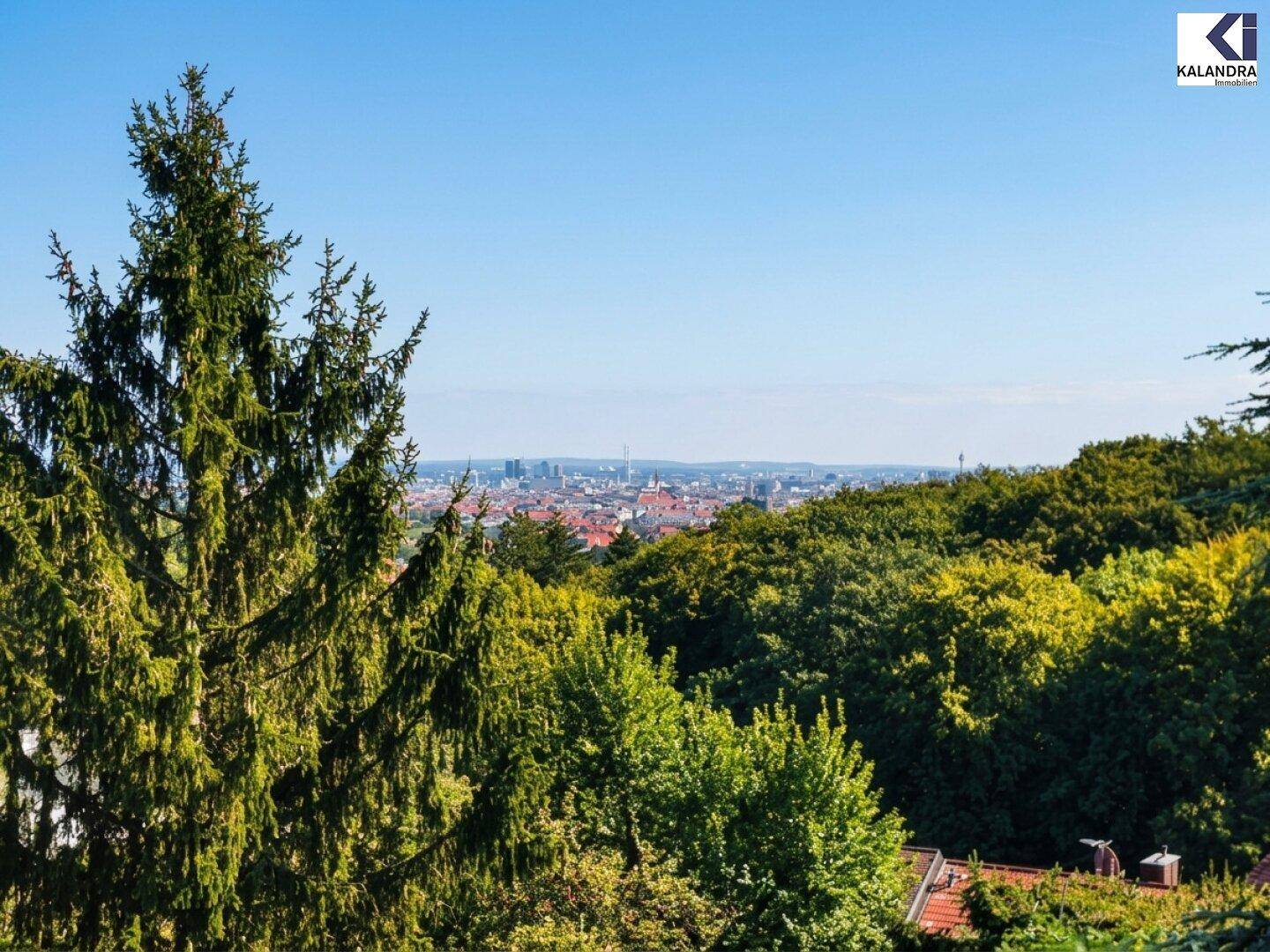 Aussicht auf die Stadt mit weitem Horizont, umrahmt von hohen Bäumen und üppigem Grün.