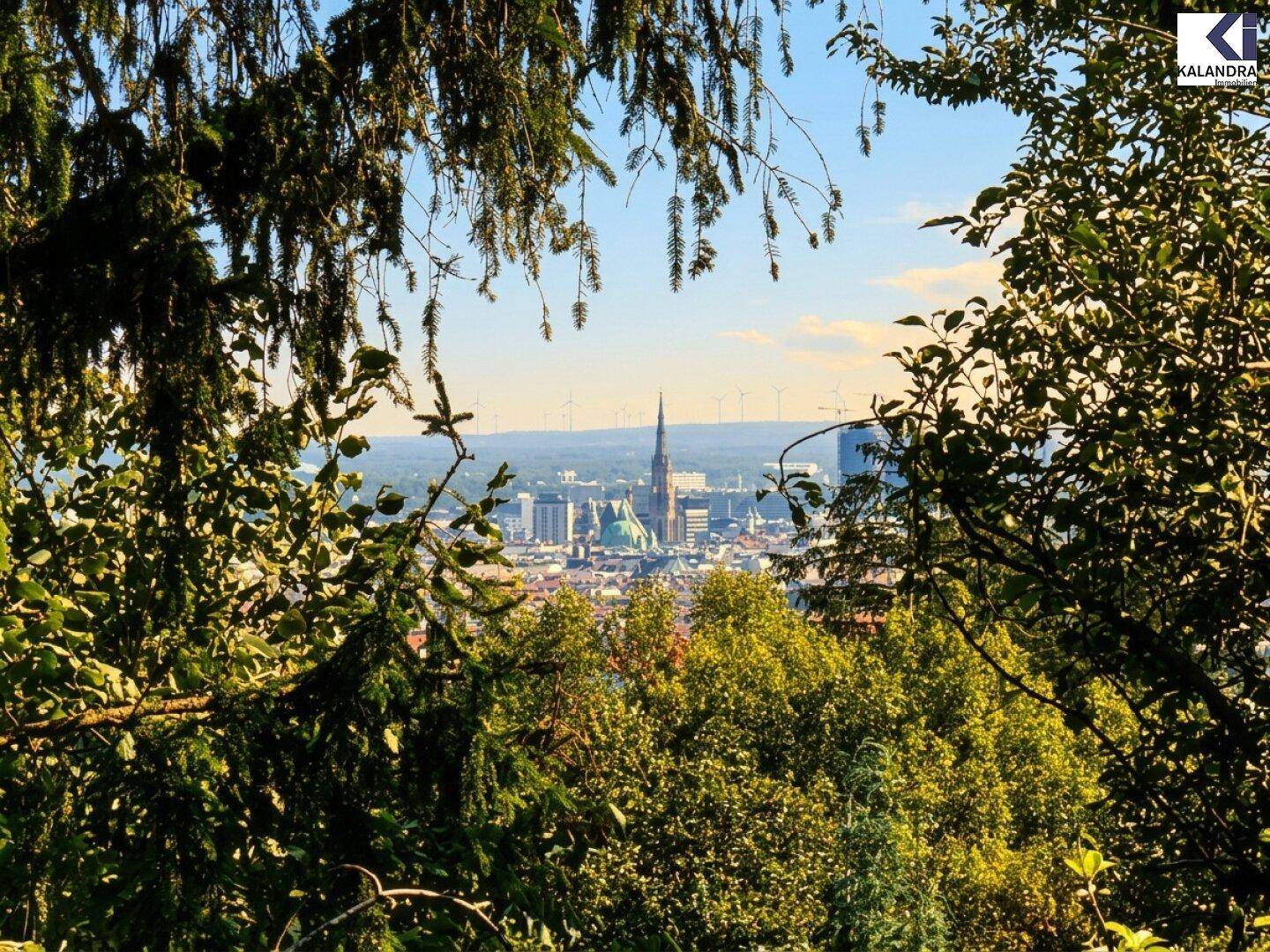 Malerischer Blick auf die Stadt mit Kirchturm und Windrädern am Horizont, umrahmt von Baumkronen.