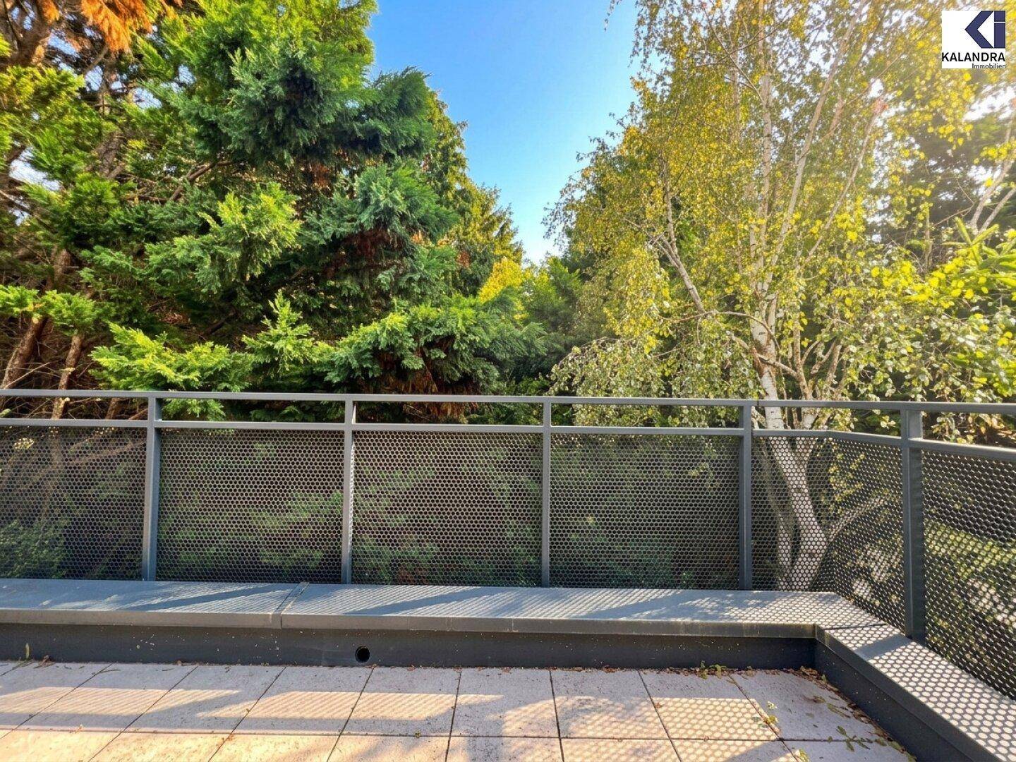 Blick von der Terrasse ins Grüne mit dichtem Baumbestand und modernem Metallgeländer.