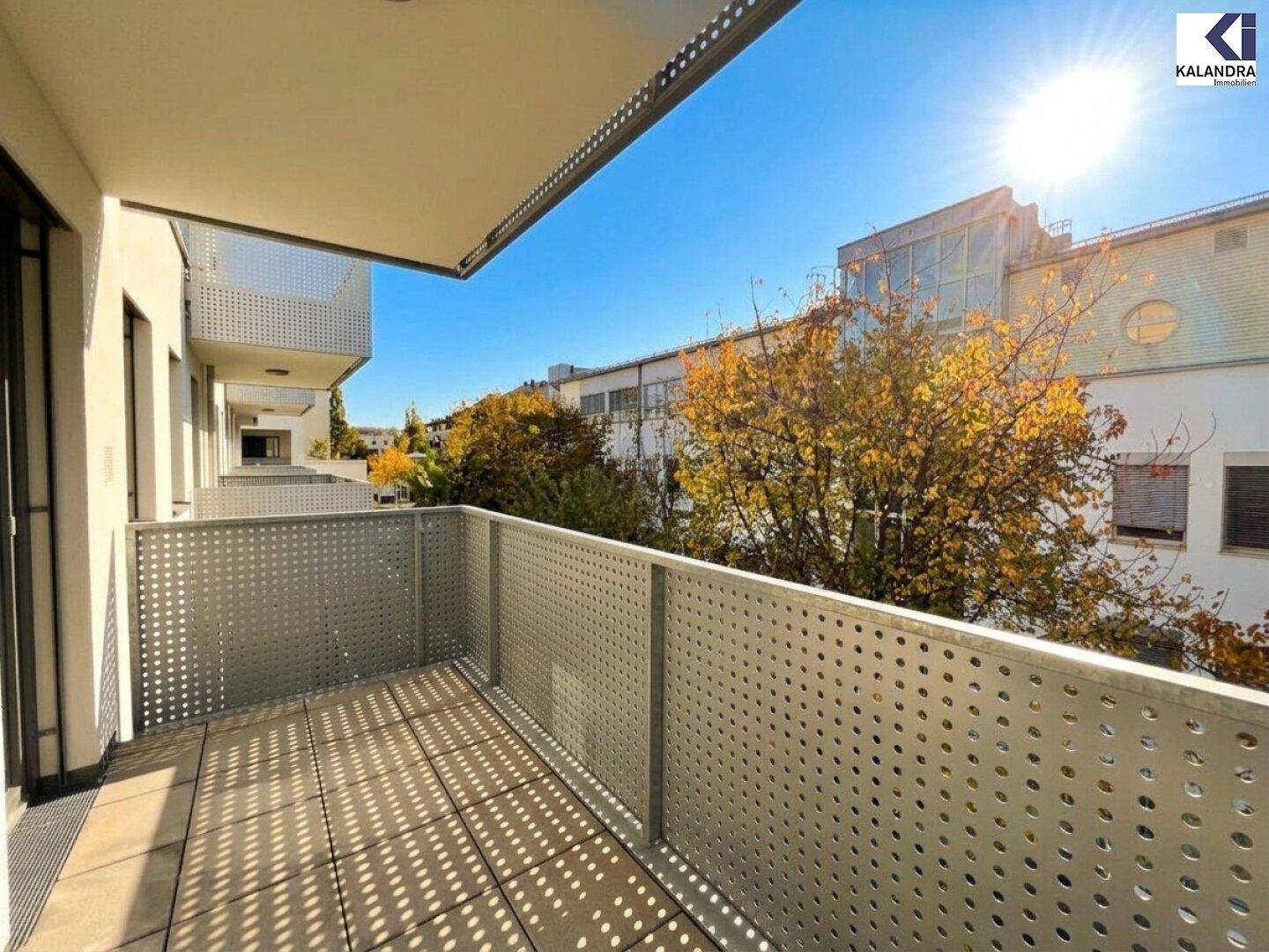 Heller Balkon mit moderner Lochblechbrüstung und Blick auf die umliegenden Gebäude.