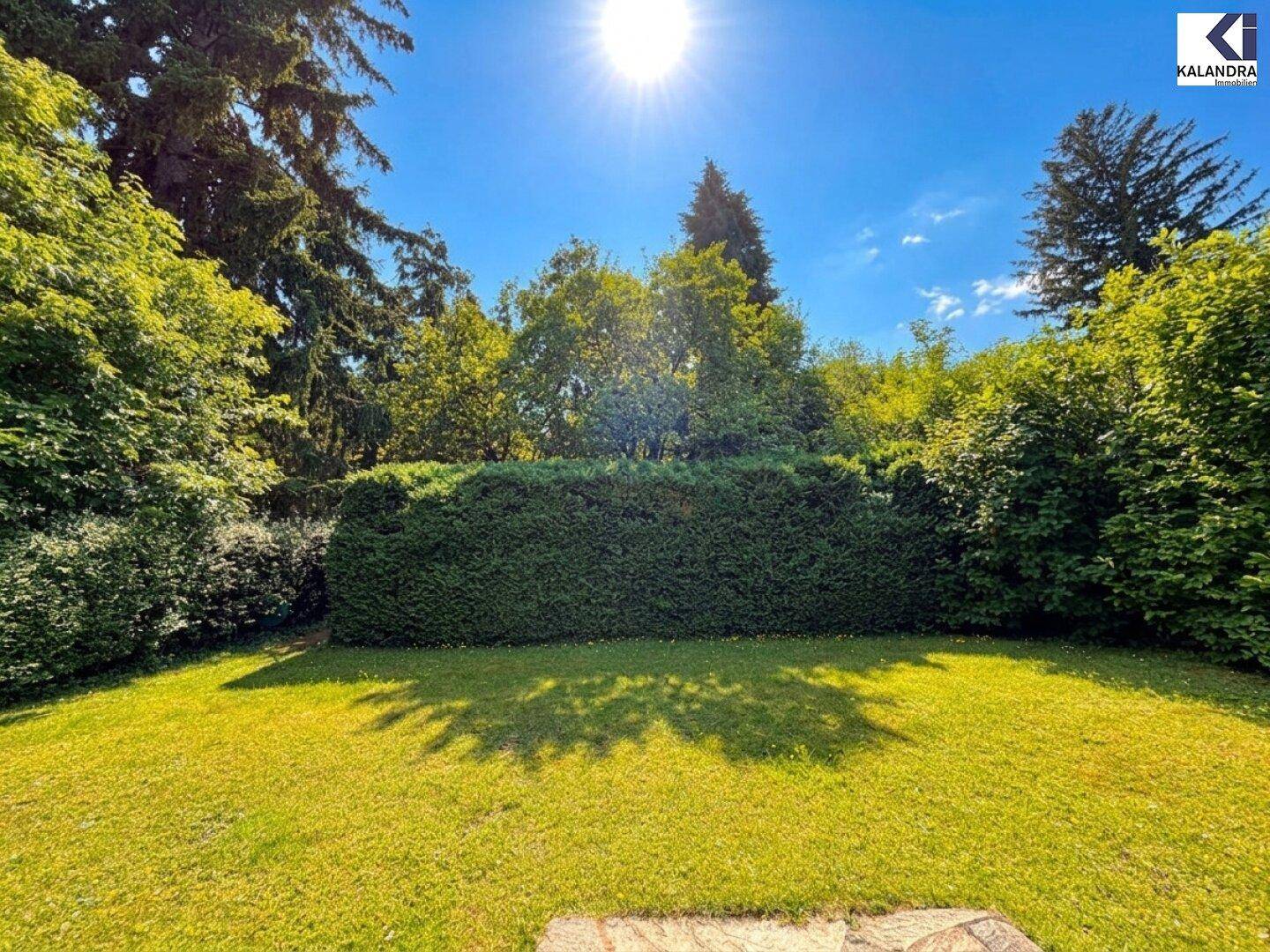 Heller Gartenbereich mit sonnigem Rasen, hohen Hecken und umgebenden Bäumen unter blauem Himmel.