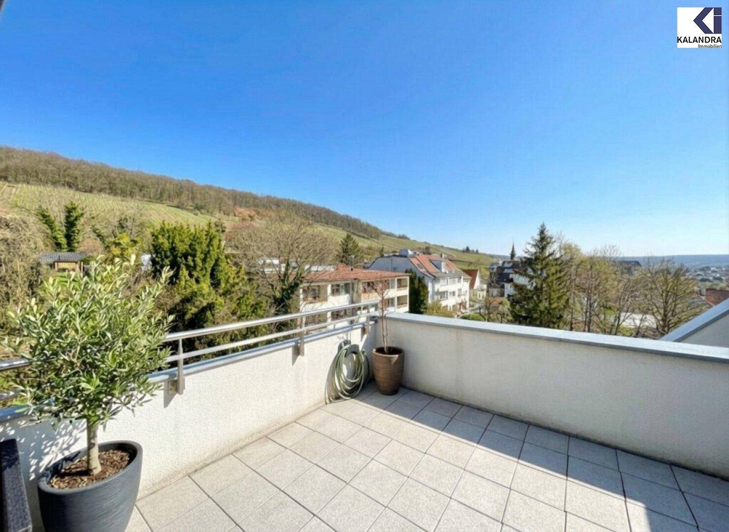 Weitläufige Terrasse mit Topfpflanze und weitem Blick auf die grüne Landschaft und Weinberge.