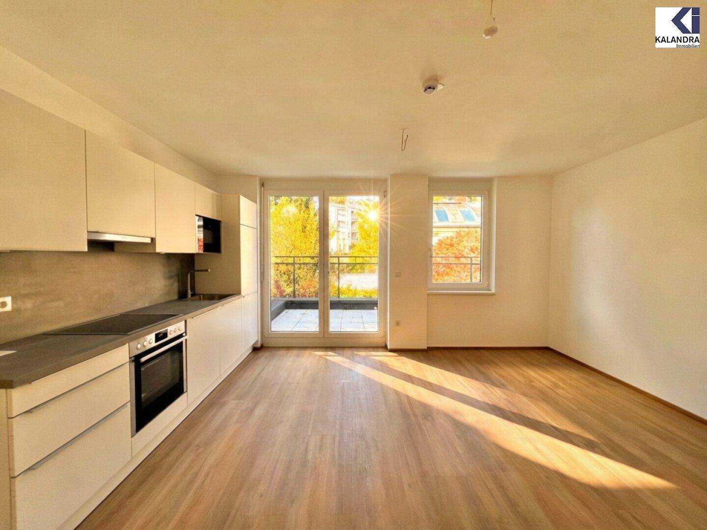 Heller Wohnbereich mit integrierter Küche und Zugang zu einem sonnigen Außenbereich.