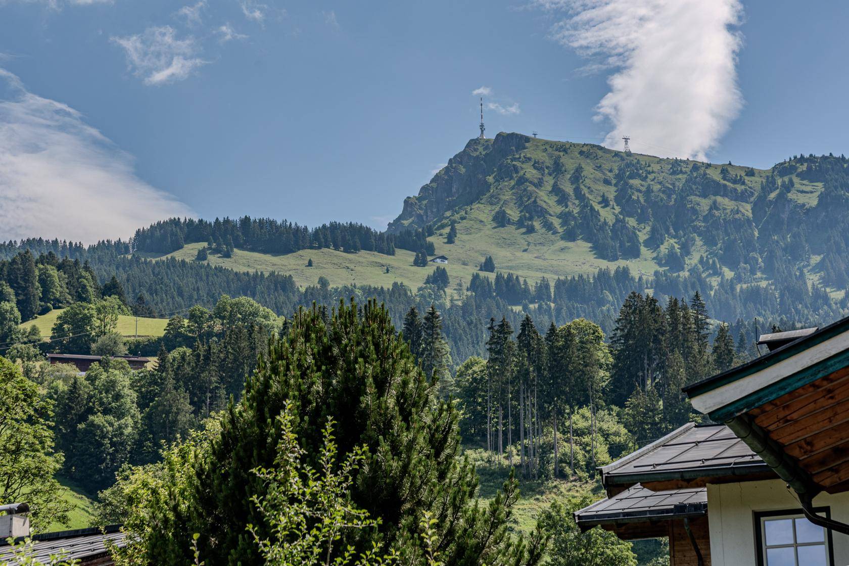 Sonniger Blick auf einen bewaldeten Berg mit Sendemast und umliegende Natur.