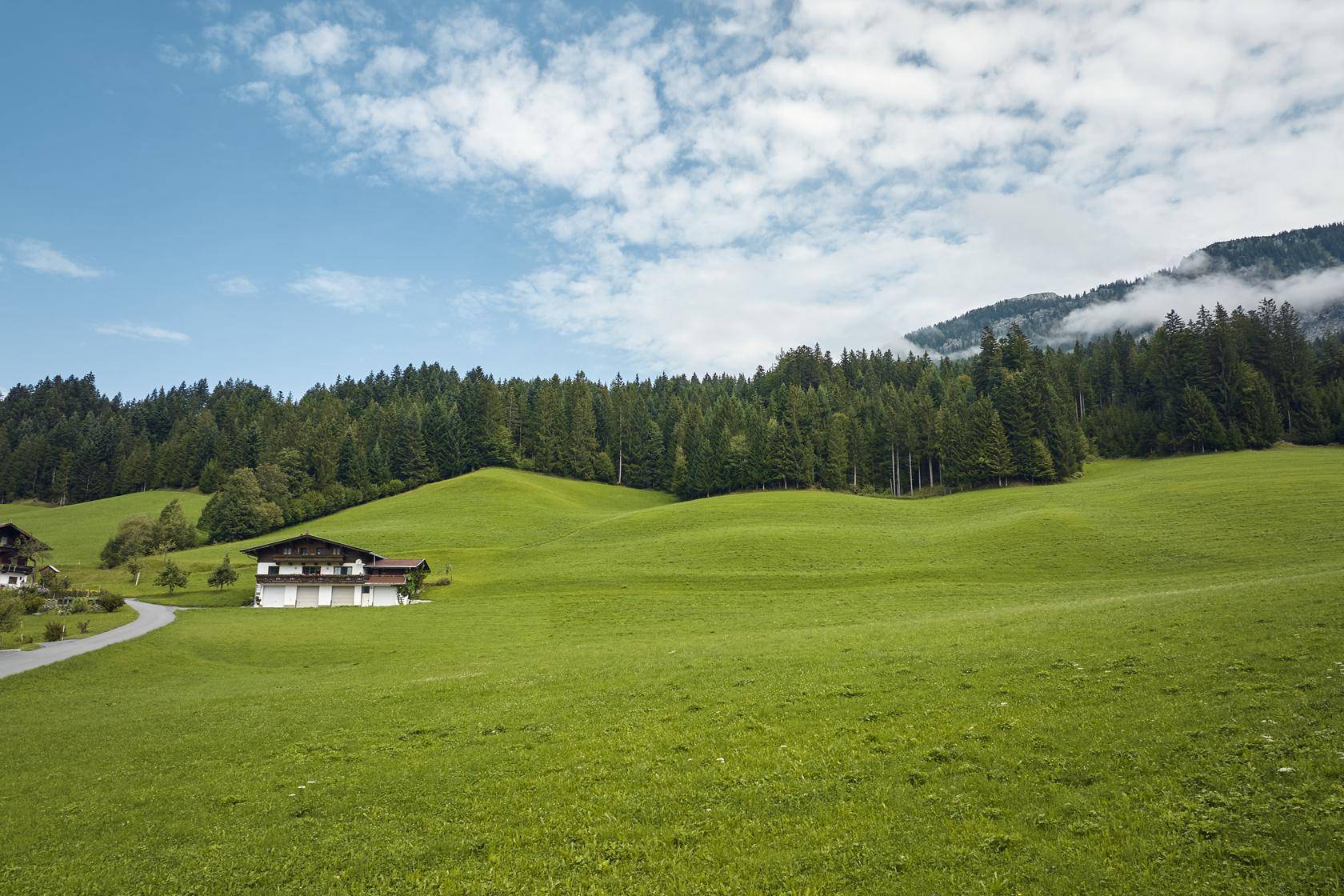 Haus in einer weitläufigen grünen Wiesenlandschaft, umgeben von dichten Wäldern.