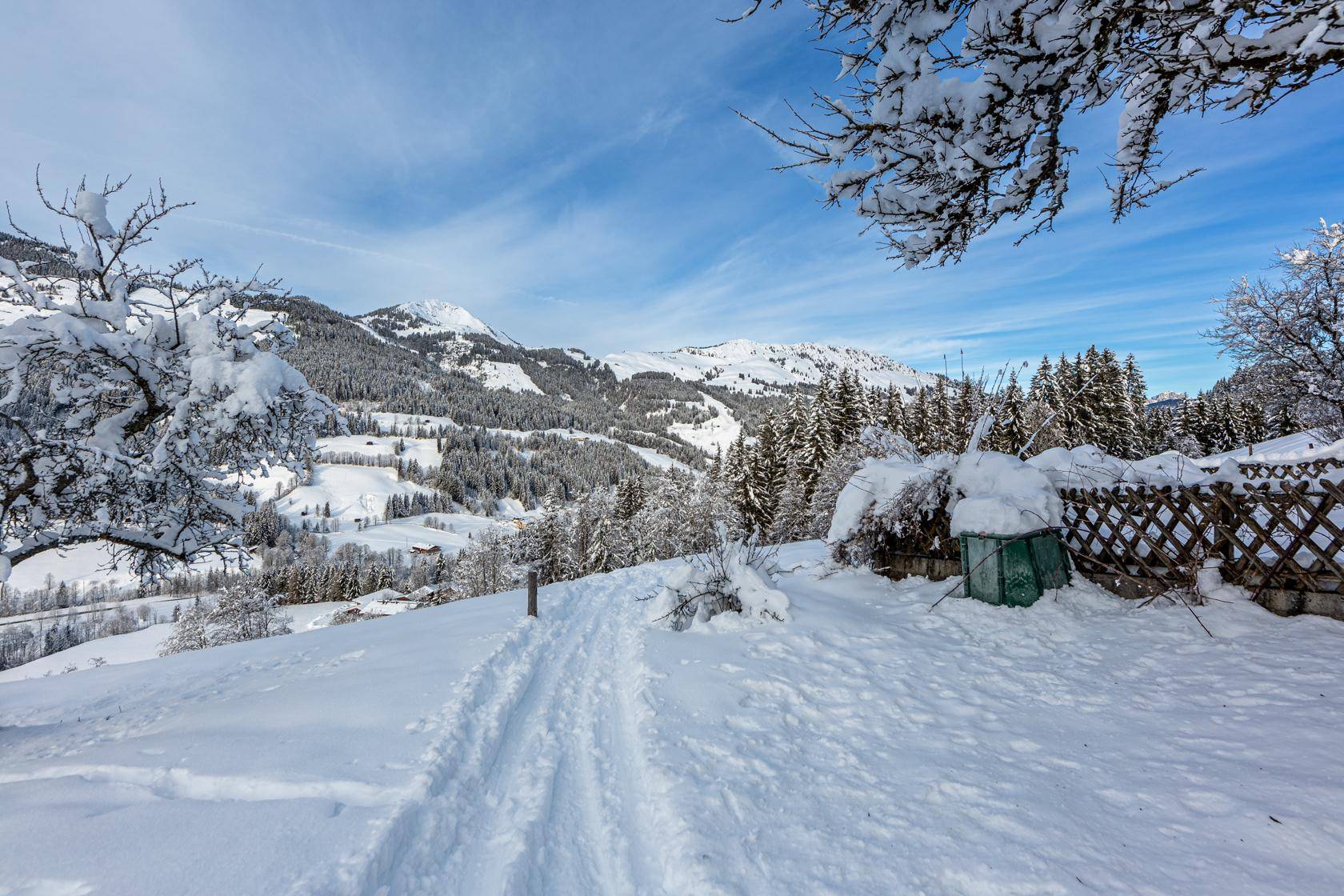 Weitläufige, schneebedeckte Winterlandschaft mit sanften Hügeln, Nadelbäumen und einem klaren blauen Himmel.