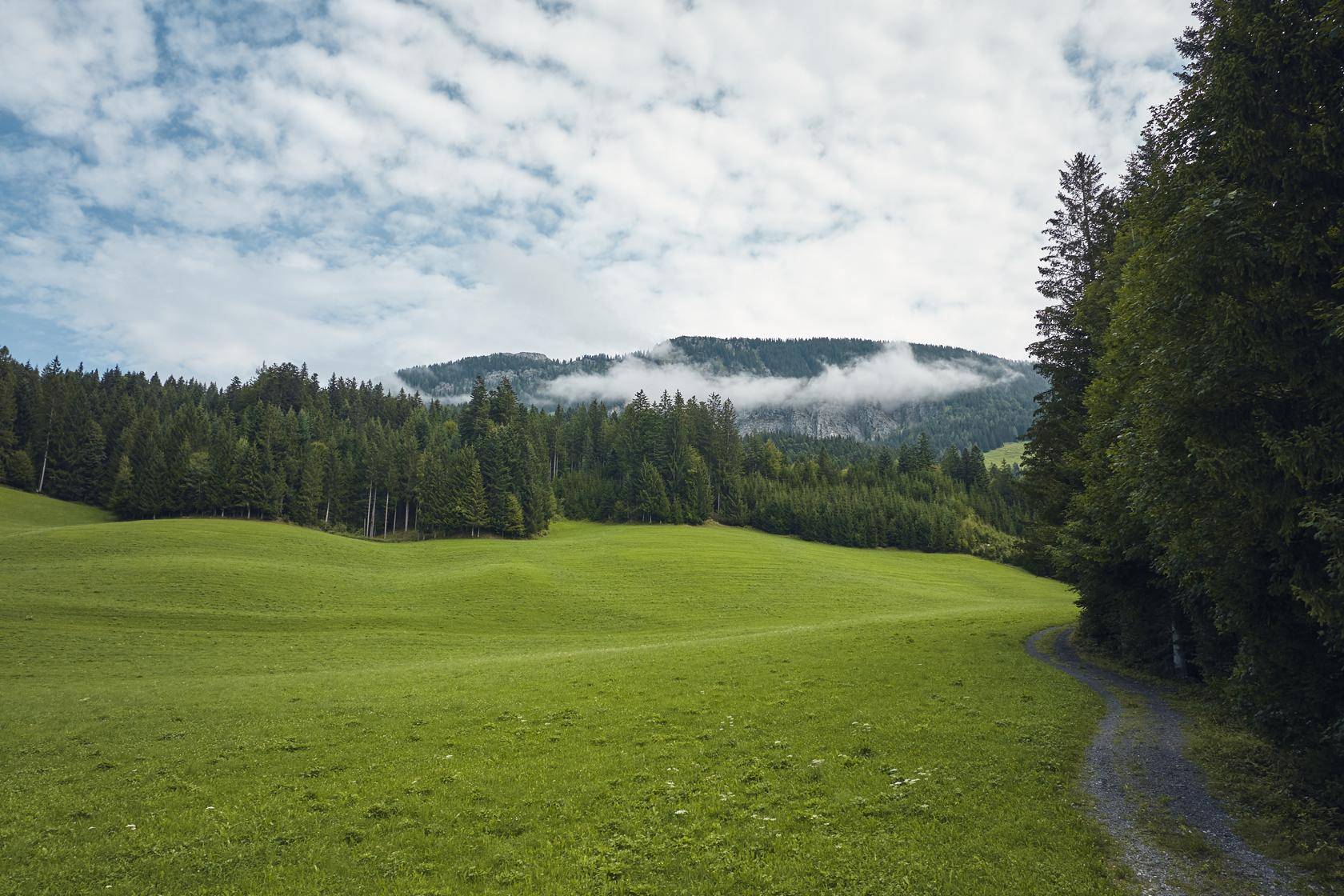Weitläufige grüne Wiesen und Wälder mit nebelverhangenen Bergen im Hintergrund.
