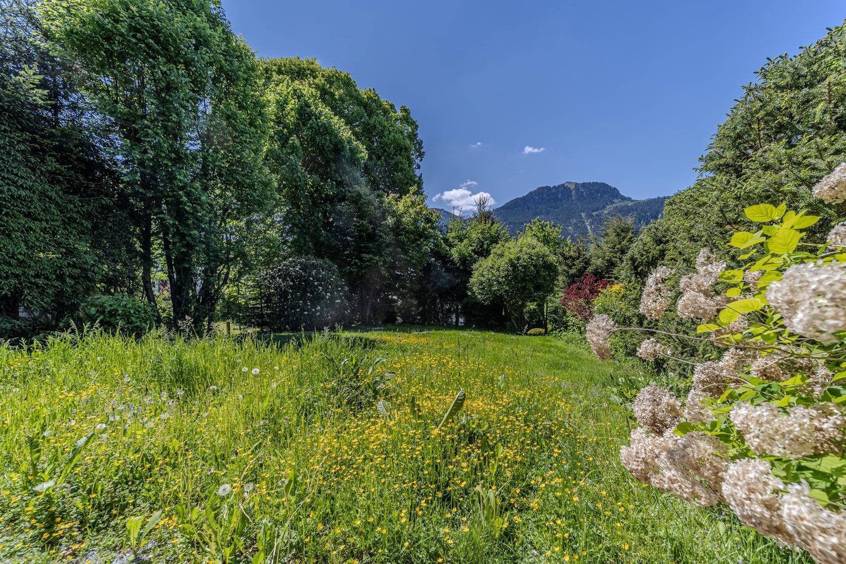 _22A6530-HDR