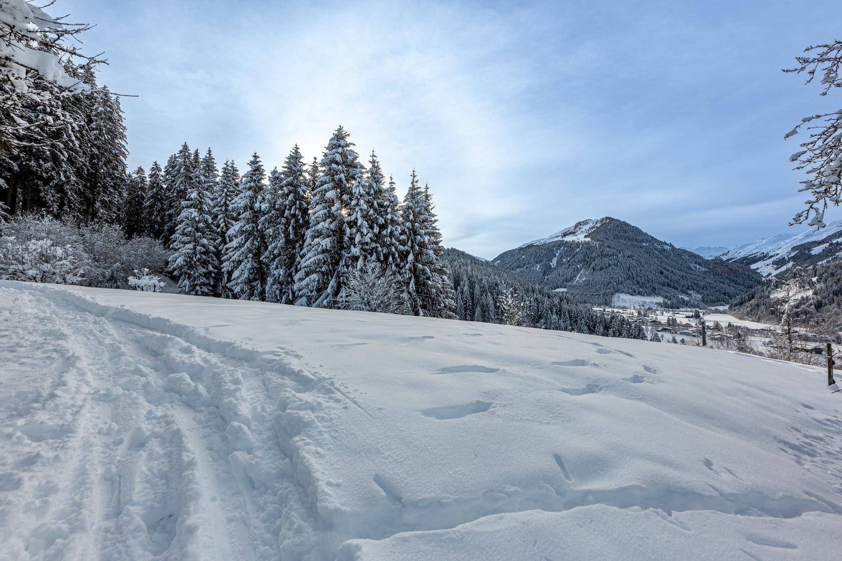 Sonnige Winterlandschaft mit frischem Schnee, Nadelwäldern und einem weiten Blick auf die Bergwelt.