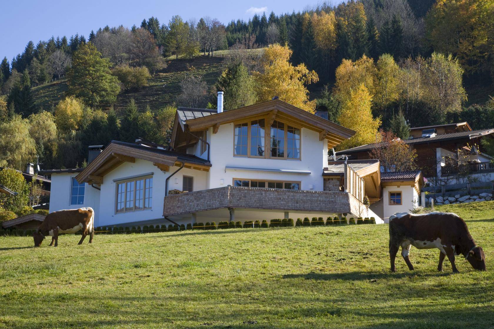 Idyllisches Landhaus im Chalet-Stil, umgeben von grünen Hügeln und herbstlichen Bäumen, mit weidenden Kühen.