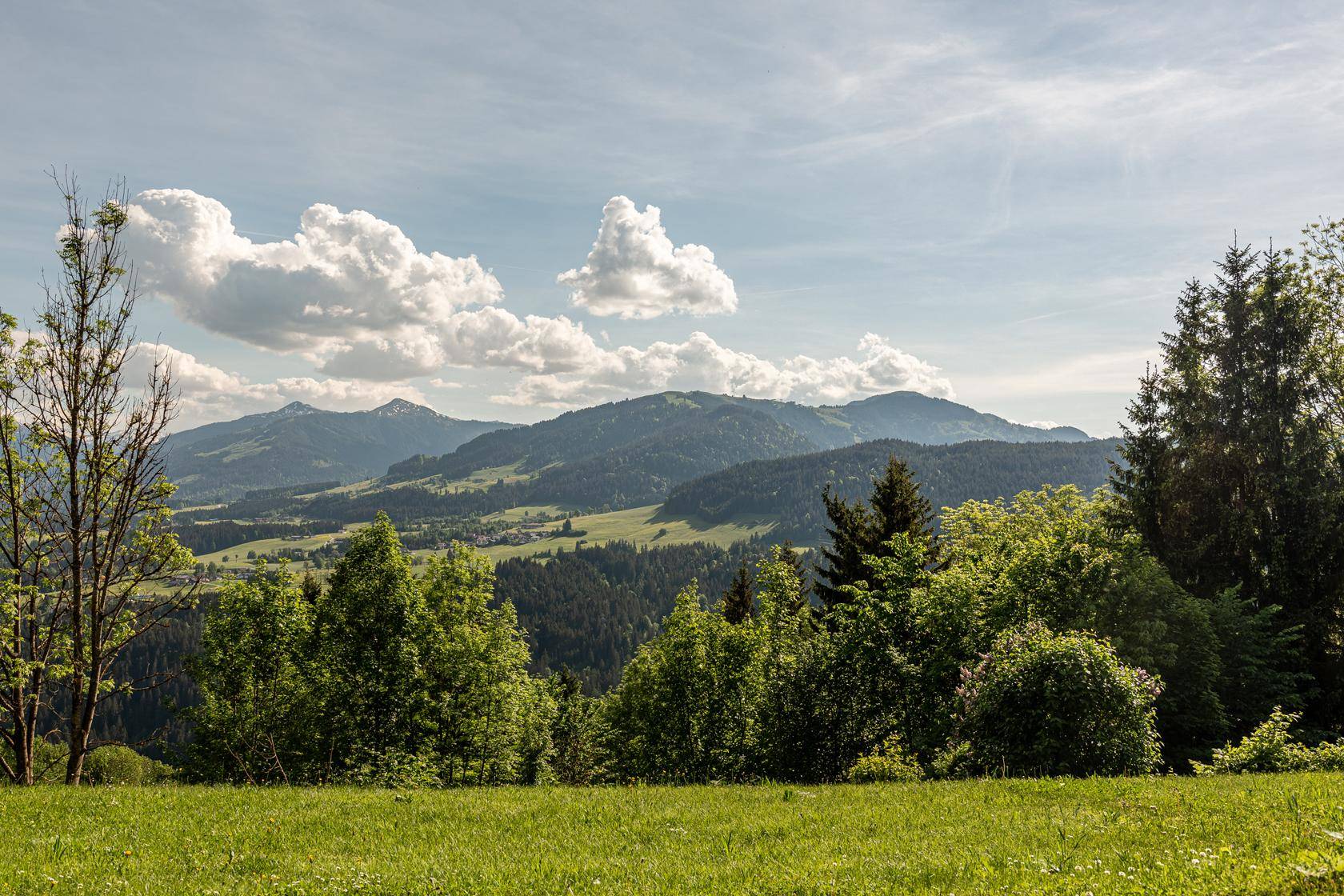 Weitläufige grüne Landschaft mit Bäumen im Vordergrund und majestätischem Bergblick unter blauem Himmel.