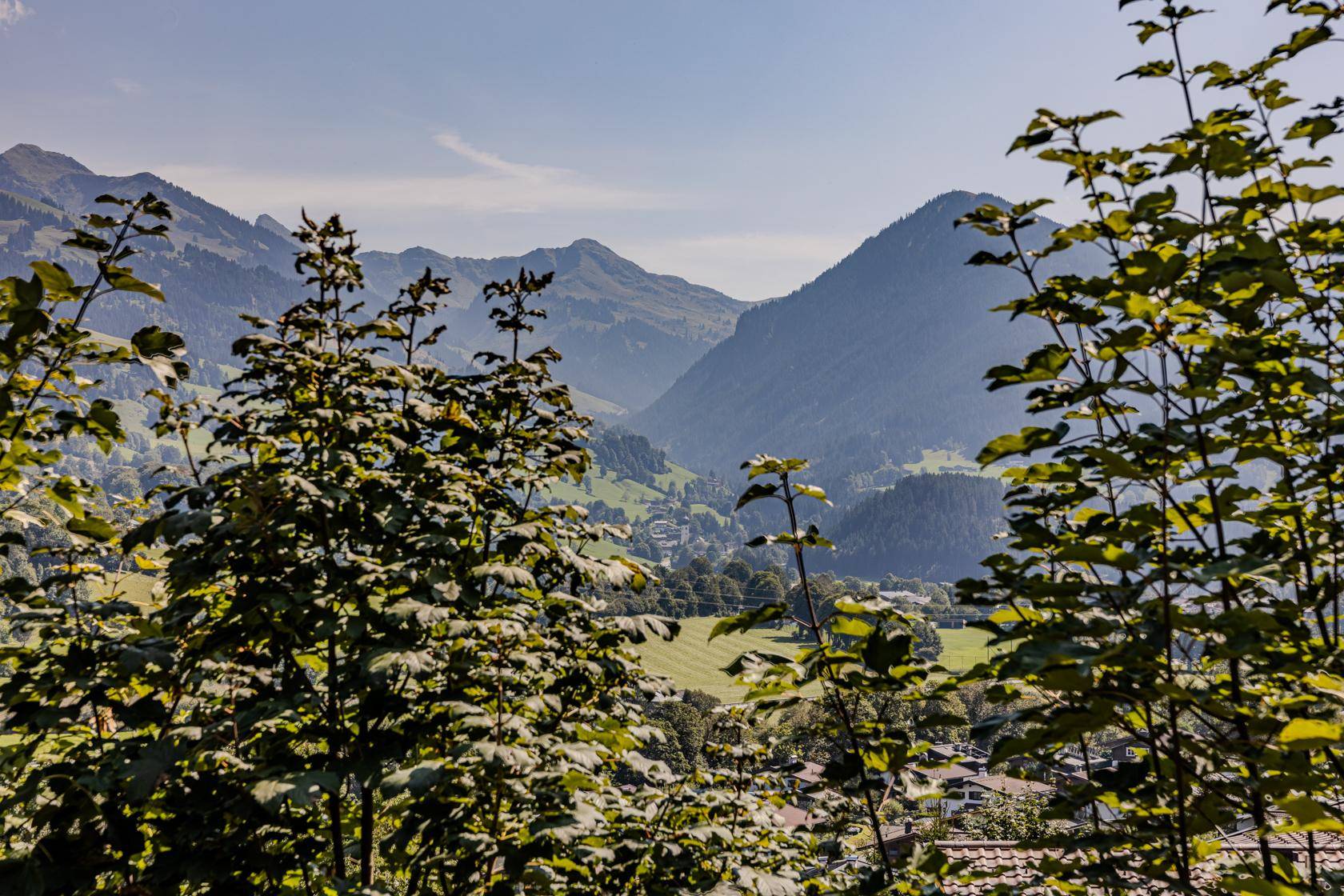 Panoramablick auf die majestätischen Berge und das grüne Tal, umrahmt von üppigem Laubwerk.