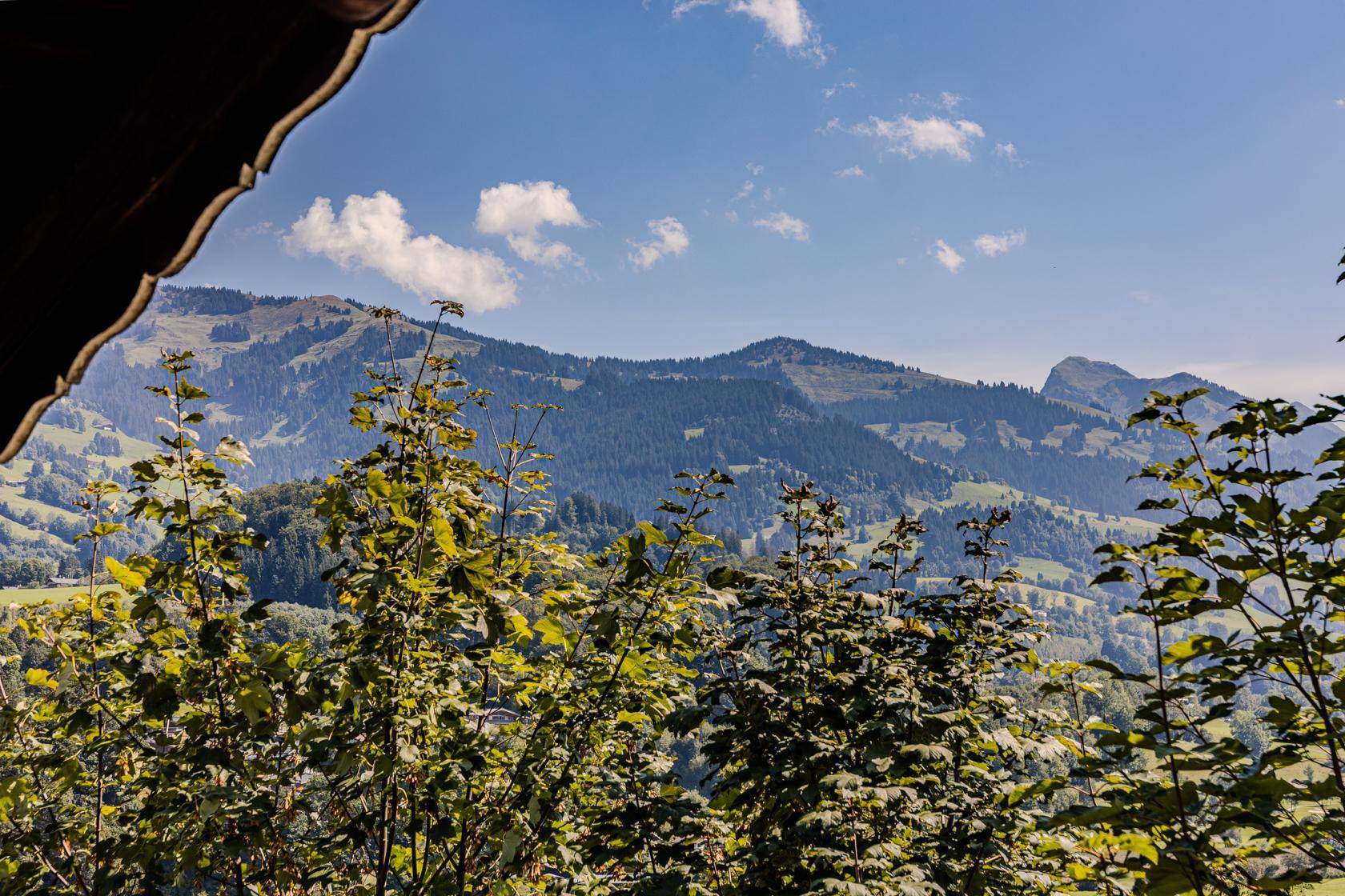 Sonniger Ausblick auf sanfte grüne Berghänge unter einem klaren blauen Himmel, teilweise von Bäumen verdeckt.