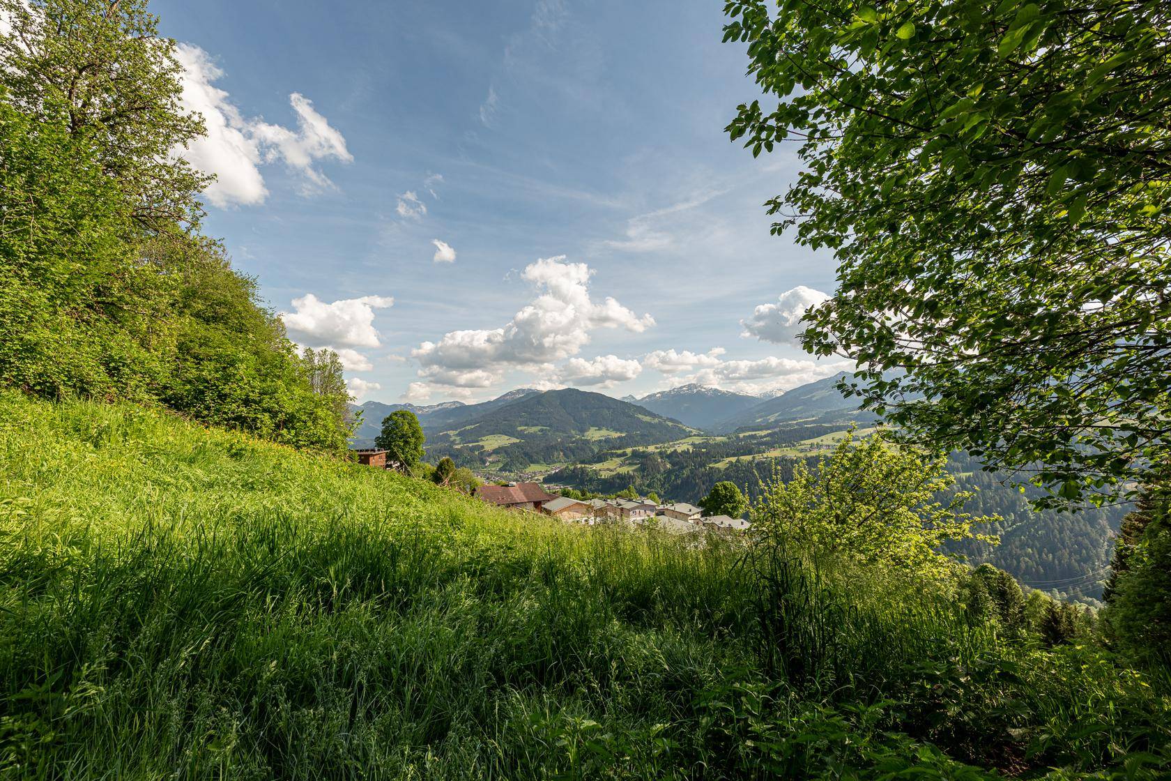 Idyllische grüne Hügellandschaft mit vereinzelten Häusern und weitem Blick auf die Alpen.