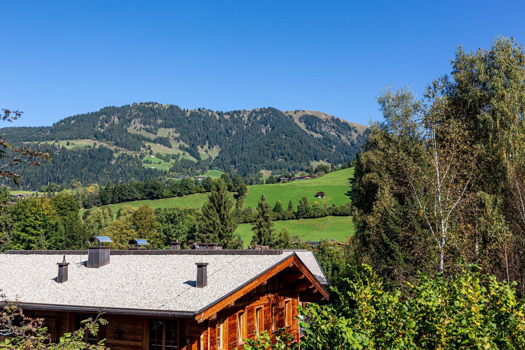 Weitblick auf bewaldete Berge und grüne Wiesen über einem traditionellen Hausdach.