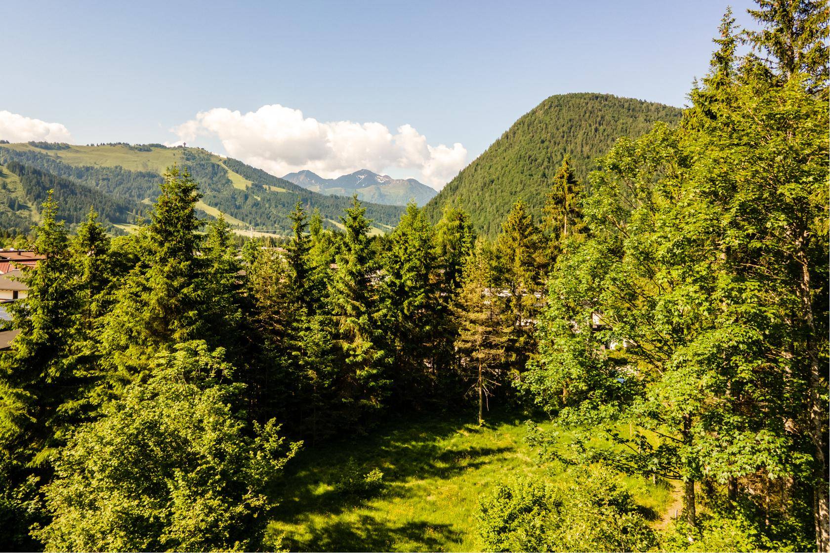 Panoramablick über ein grünes Tal mit bewaldeten Hügeln und entfernten Häusern an einem sonnigen Tag.