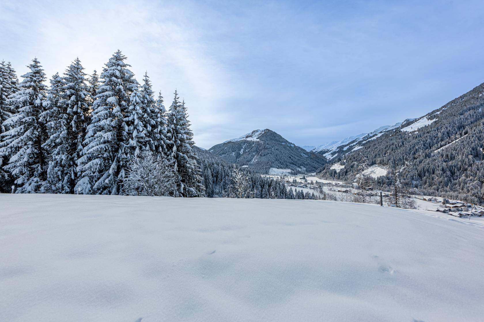 Malerische Winterlandschaft mit schneebedeckten Tannenbäumen und einem Tal im Hintergrund unter bewölktem Himmel.