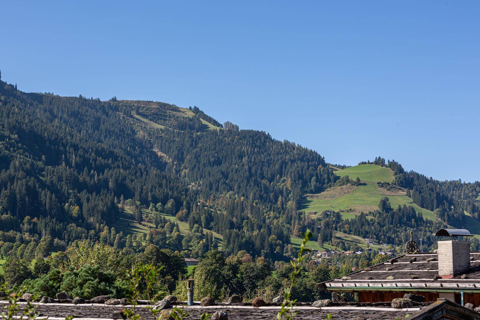Panoramablick auf bewaldete Berge und grüne Hügel mit einem Dorf im Tal.