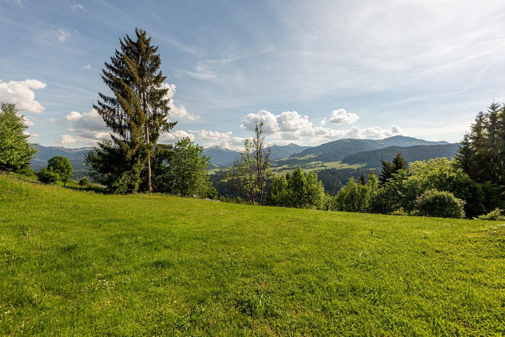 Weitläufige grüne Wiese mit hohen Bäumen und malerischem Blick auf die umliegende Berglandschaft.