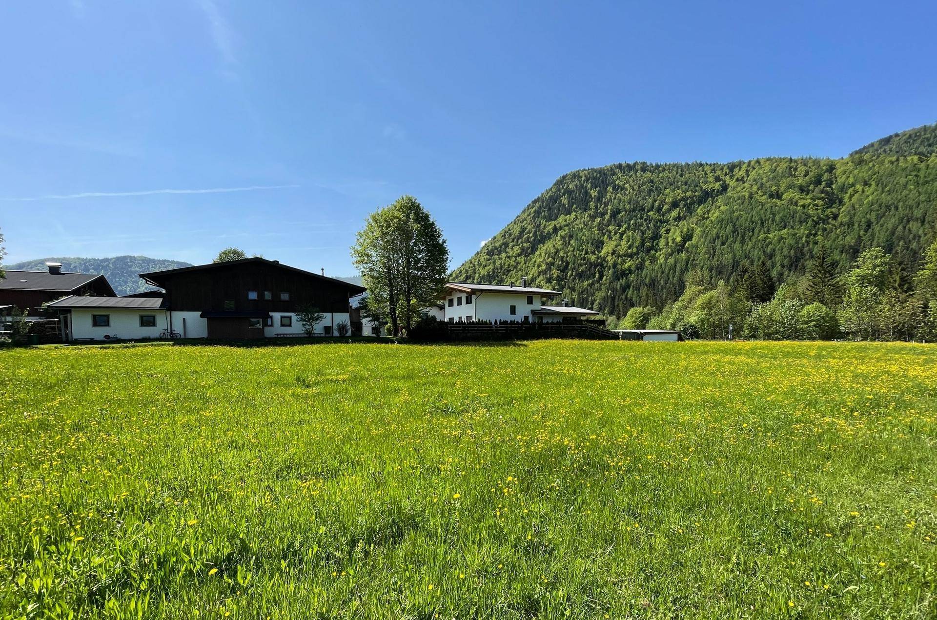 Weitläufige grüne Wiese mit blühenden Blumen, umgeben von Häusern und Bergen unter blauem Himmel.
