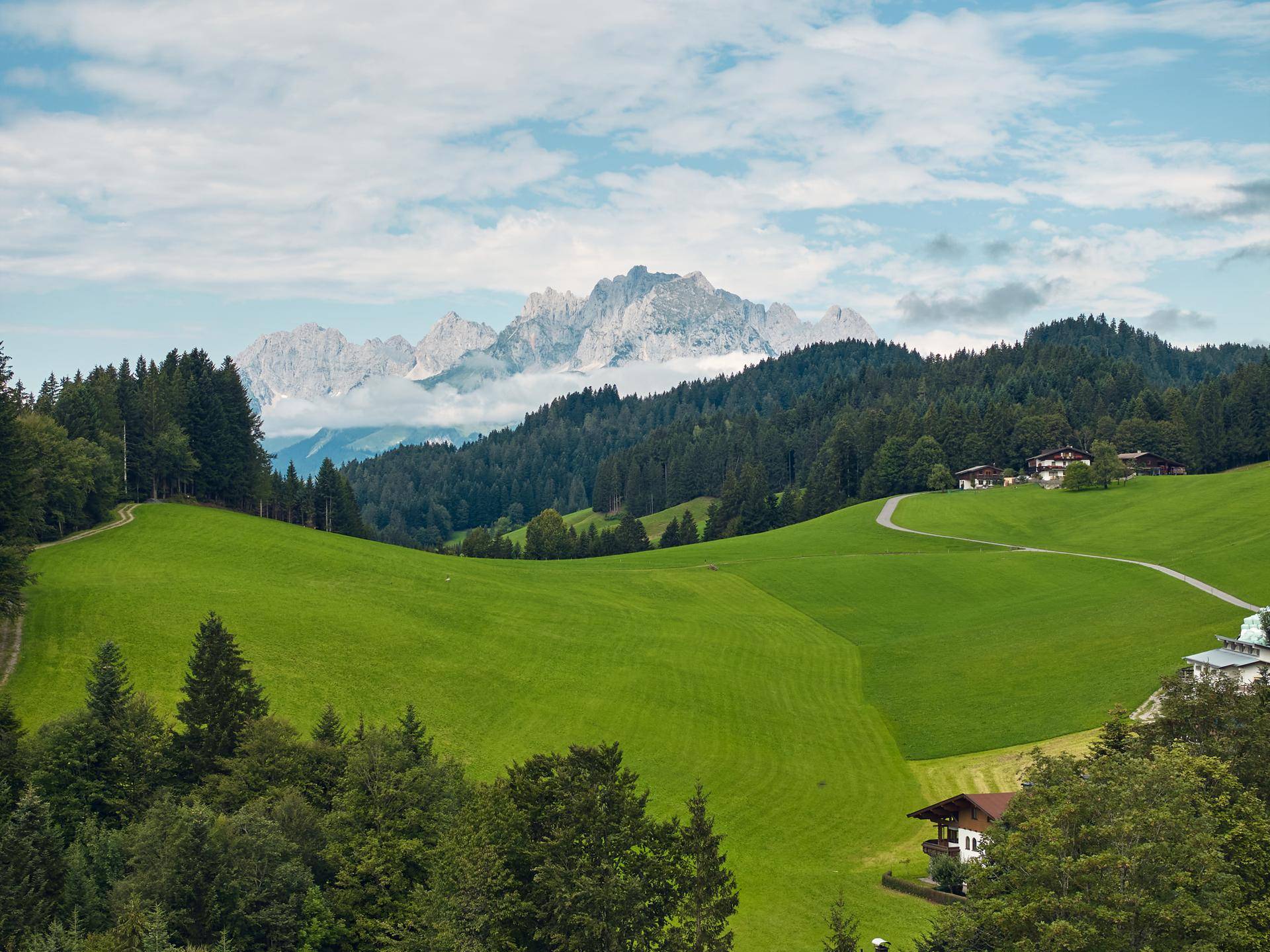 Weitläufiger Blick über grüne Hügel und Wälder auf eine beeindruckende Bergkette unter bewölktem Himmel.