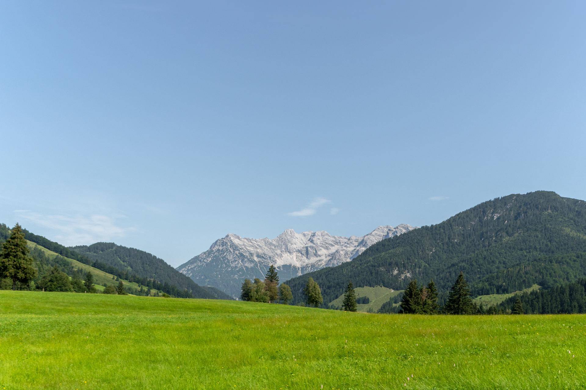 Weitläufige grüne Wiesen mit majestätischen Bergen im Hintergrund unter einem klaren blauen Himmel.