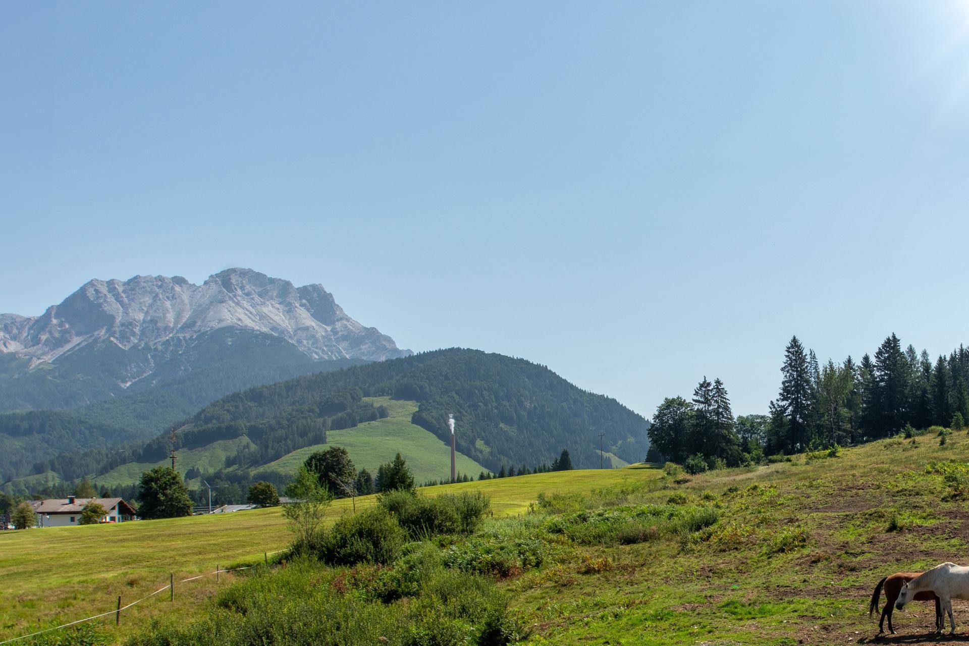 Weitläufige Berglandschaft mit grünen Hügeln, Wäldern und einem klaren blauen Himmel.