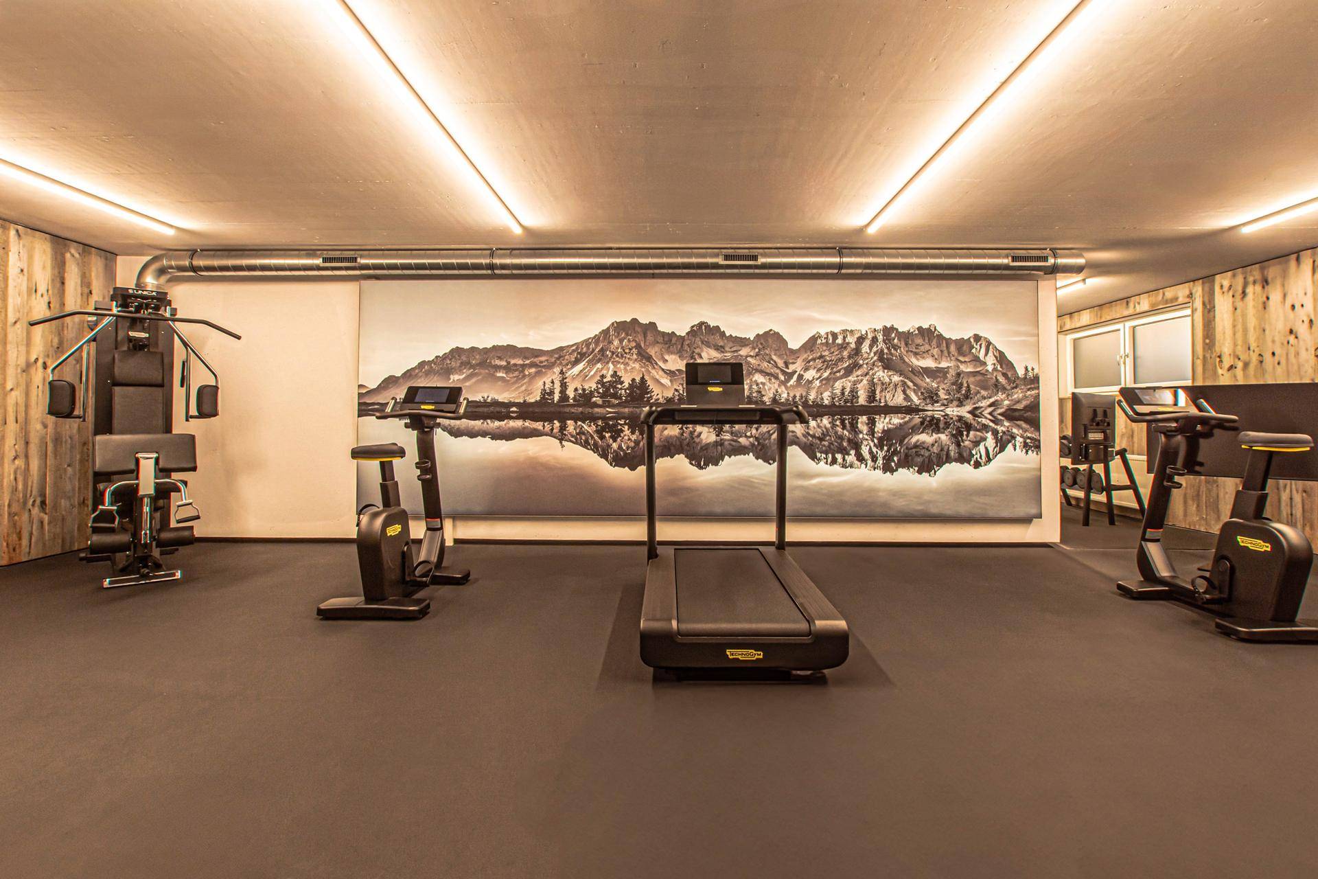 Gut ausgestatteter Fitnessraum mit verschiedenen Trainingsgeräten und einem Wandbild mit Bergmotiv für Inspiration.