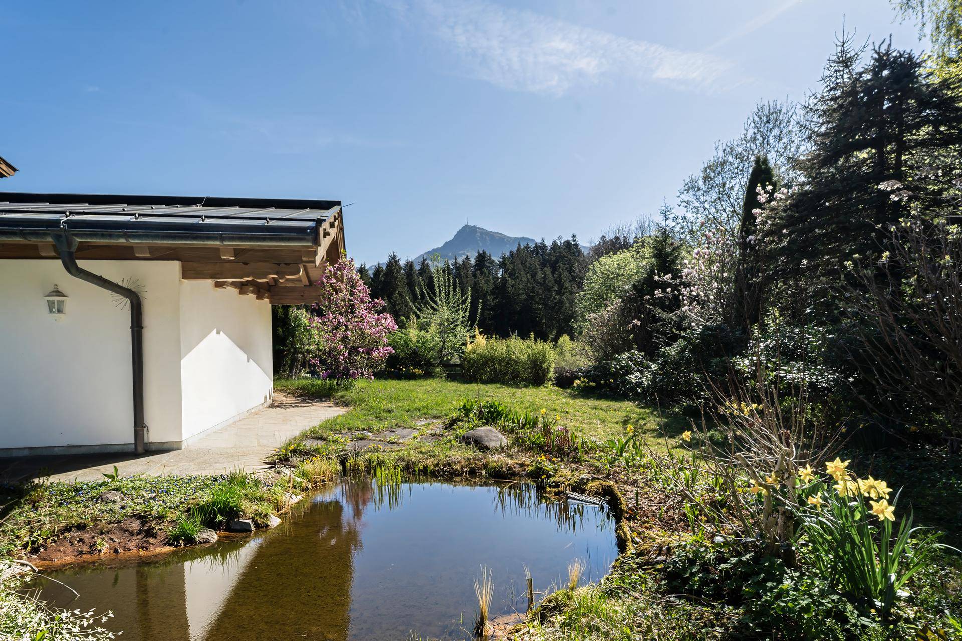 Ein kleiner Teich im Gartenbereich des Hauses, umgeben von grünen Pflanzen und Bäumen.