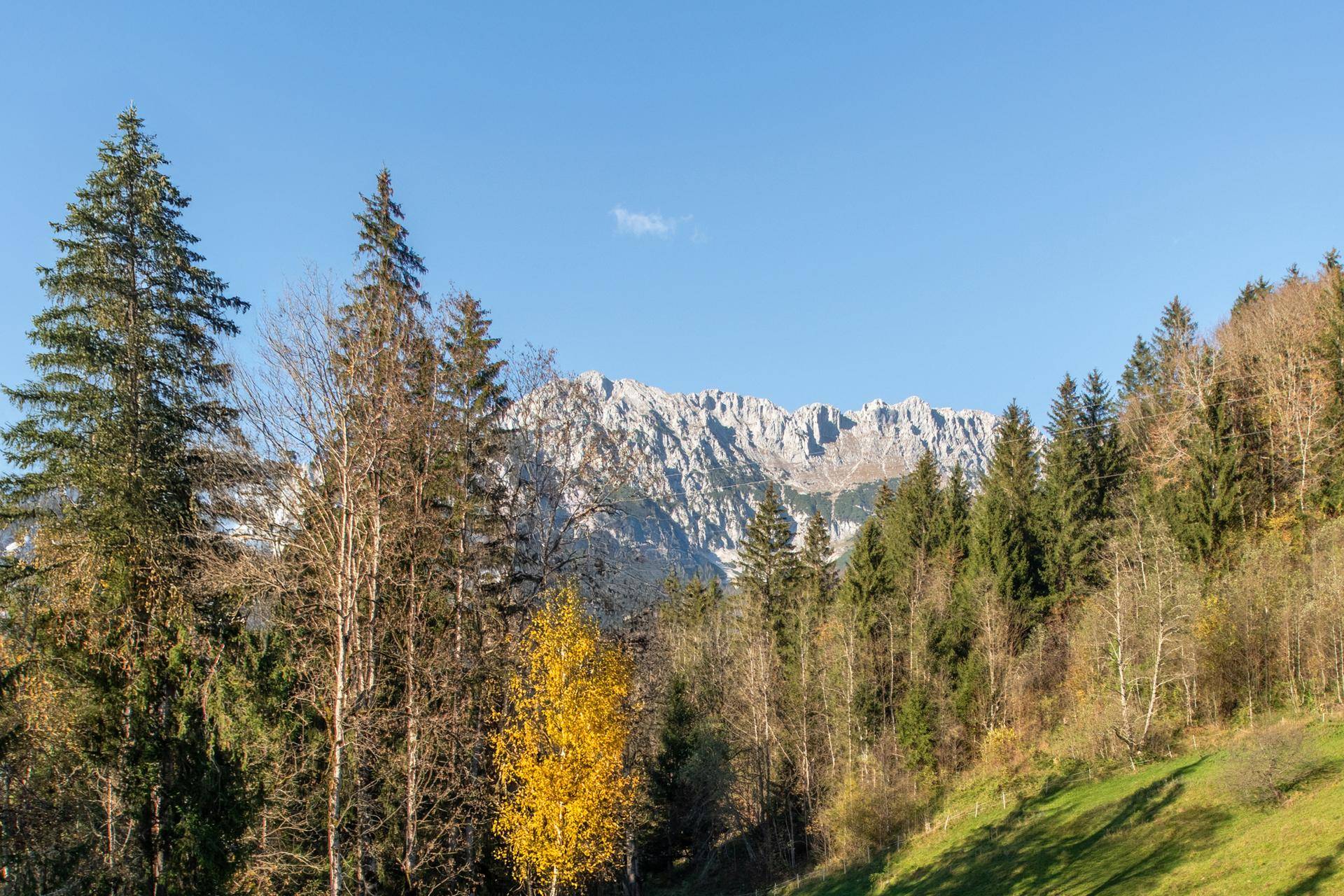 Atemberaubender Panoramablick auf die majestätischen Berge und dichte Wälder der Umgebung.