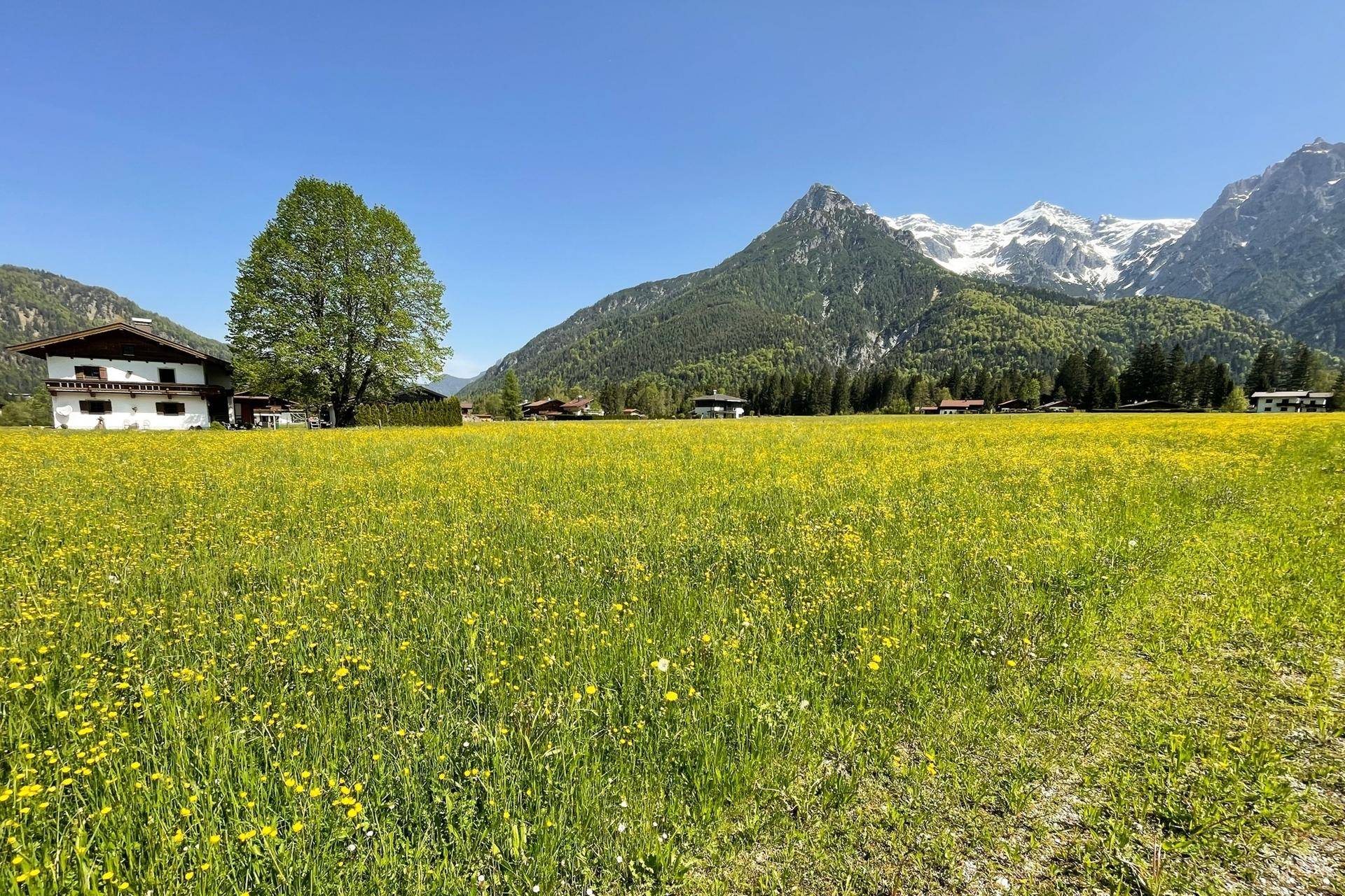 STEINBERGE
