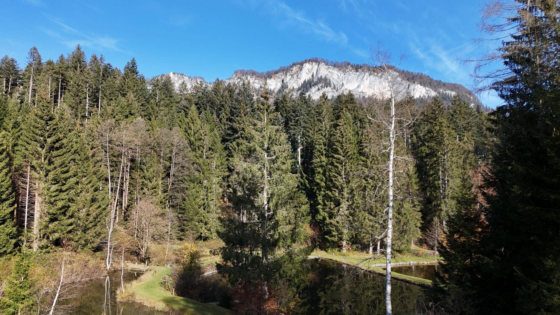 Baugrundstück in bester Lage von St. Johann ( 02103 ) - Ansicht 4
