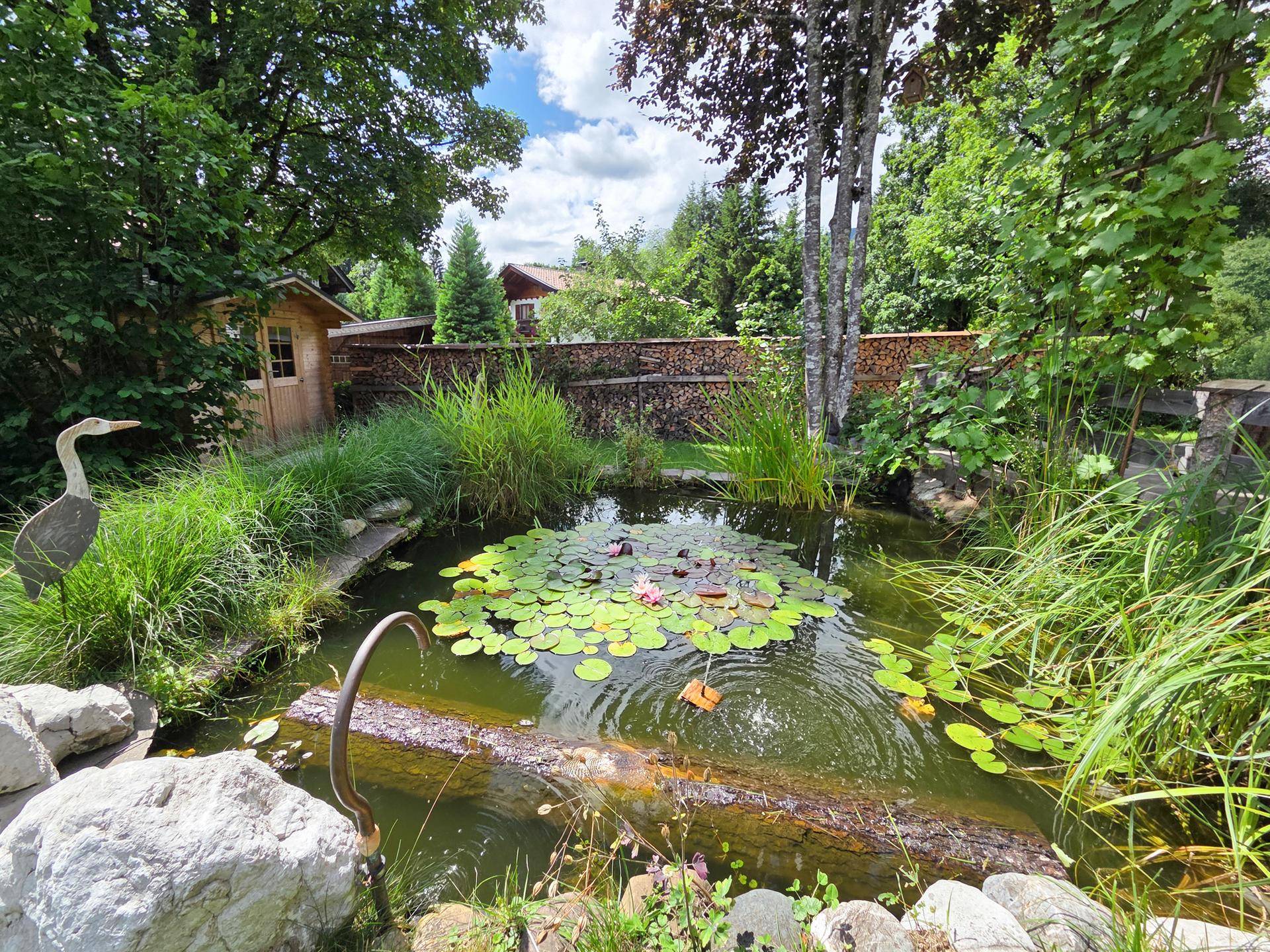 Idyllischer Gartenteich mit Seerosen, umgeben von üppigem Grün und Steinen.