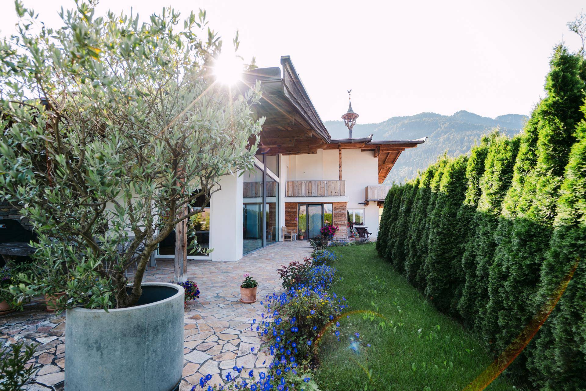 Charmantes Haus mit gepflegtem Garten, Terrasse und mediterranen Pflanzen im Sonnenlicht.
