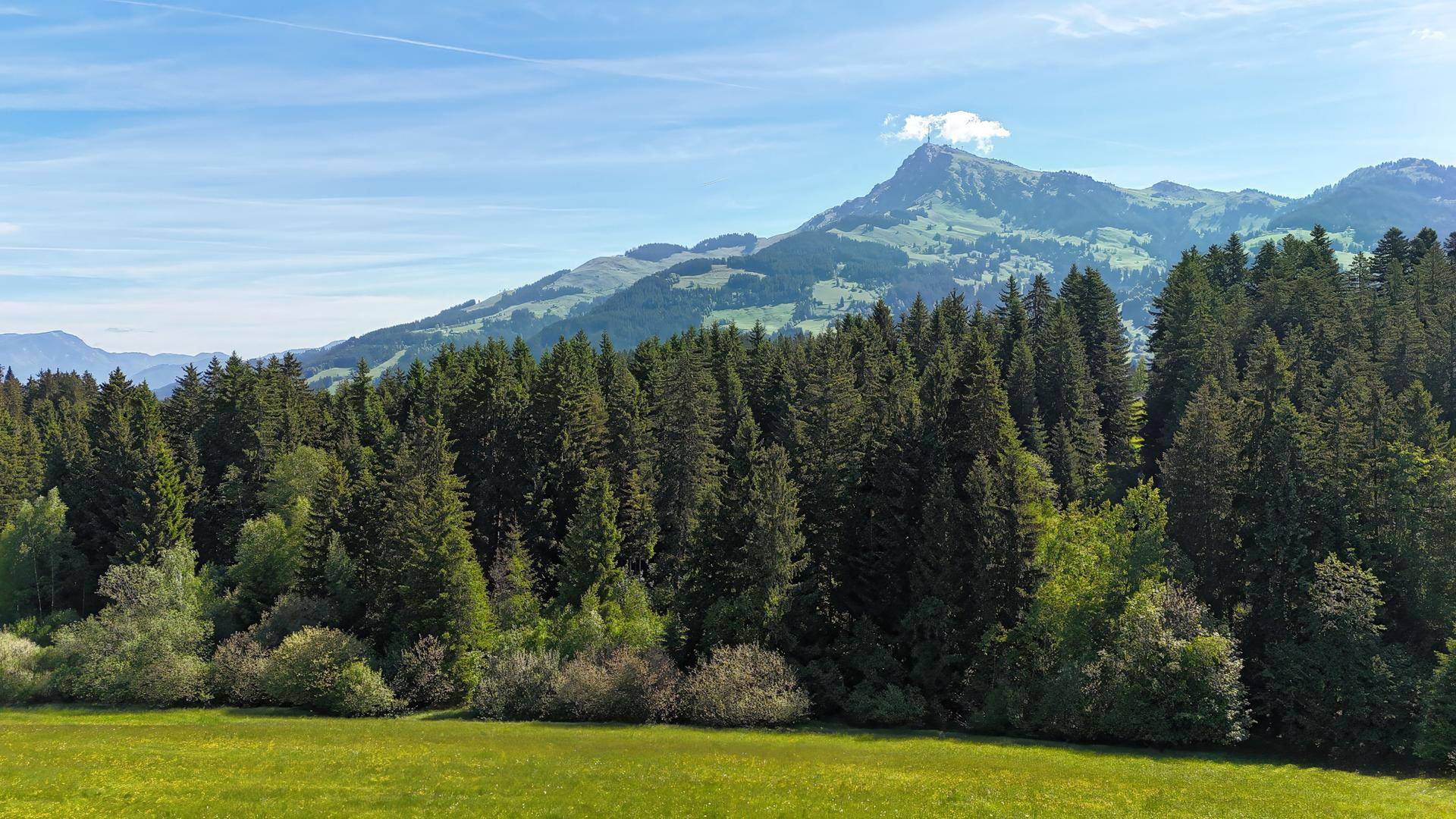 Malerische Berglandschaft mit dichten Nadelwäldern und grünen Wiesen unter blauem Himmel.