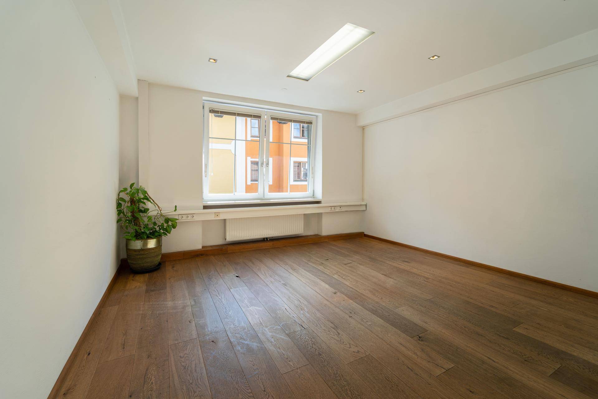 Leeres Büro mit Holzboden, großen Fenstern und einer Zimmerpflanze.