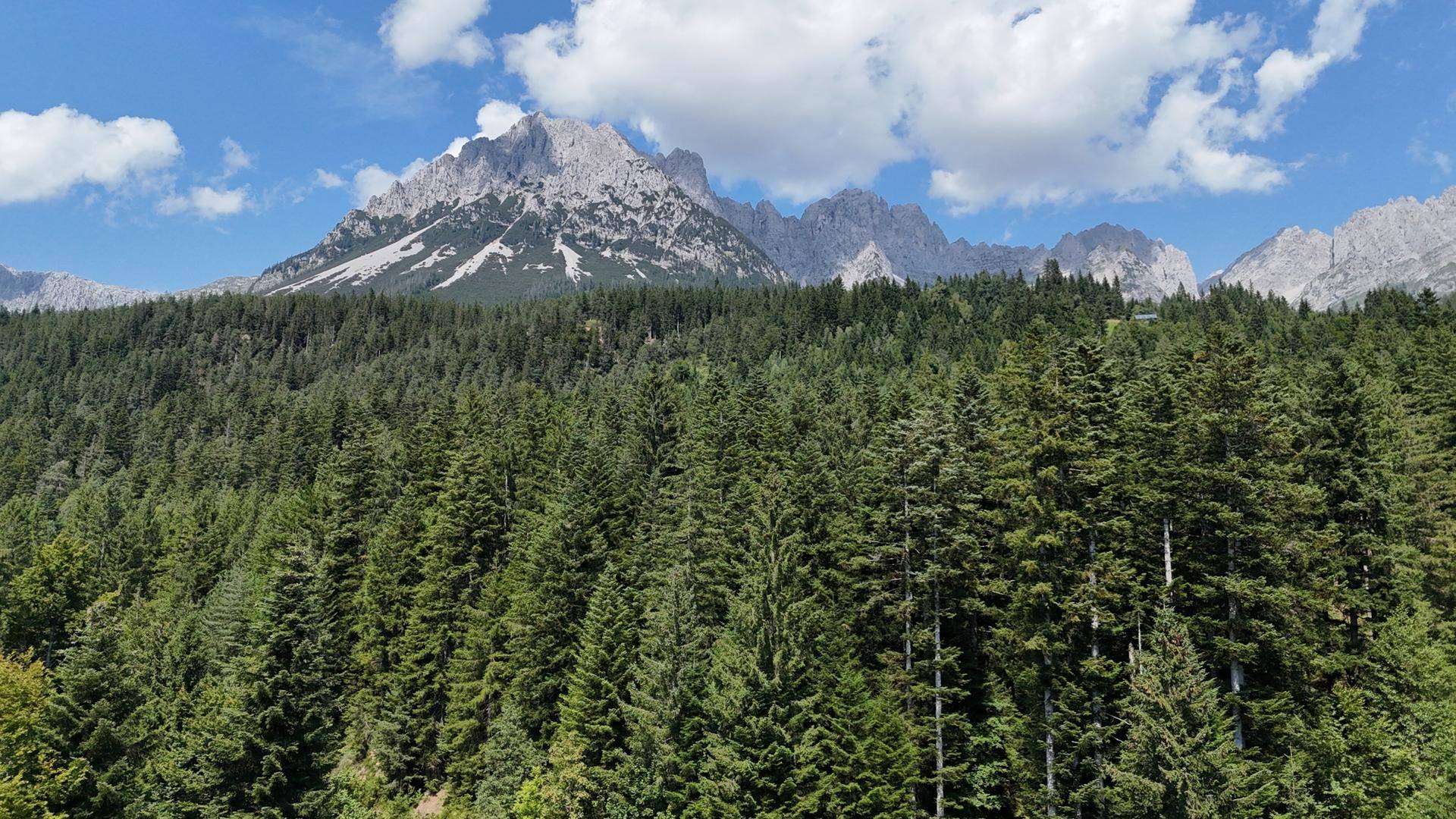KAISERBLICK