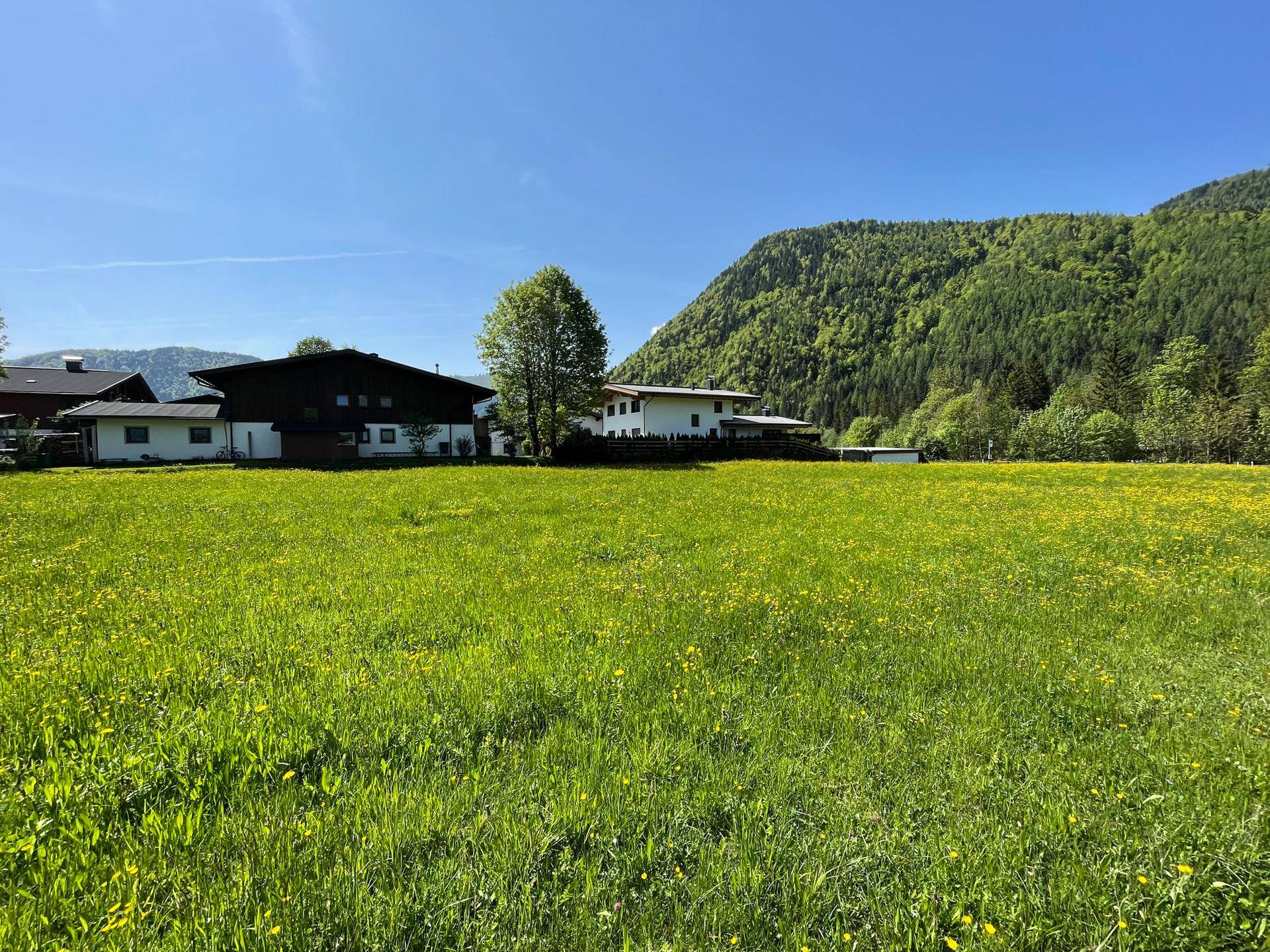 Gut geschnittenes Baugrundstück in sonniger Lage ( 05641 ) - Ansicht 2
