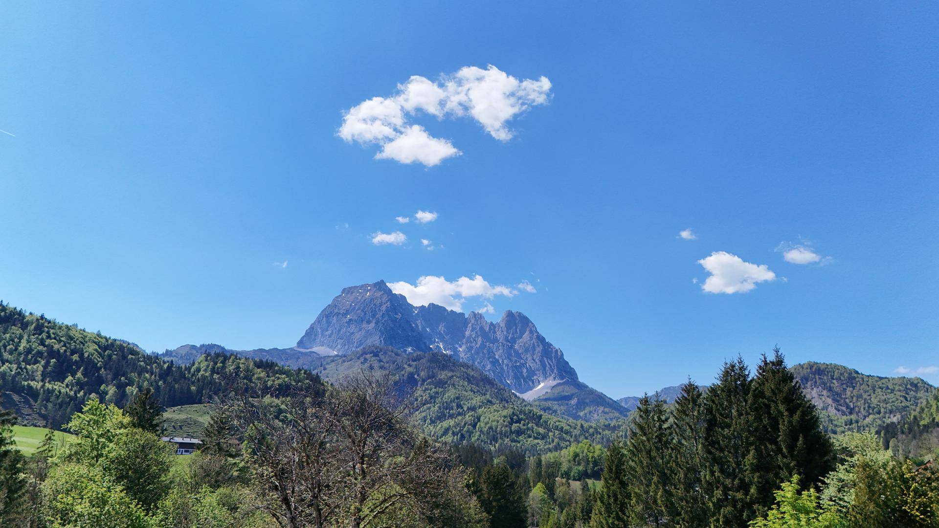 KAISERBLICK